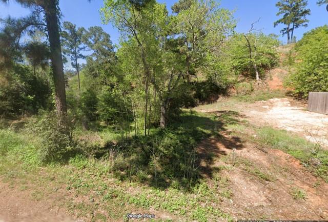 000 Wahane LN, Bastrop, TX 78602