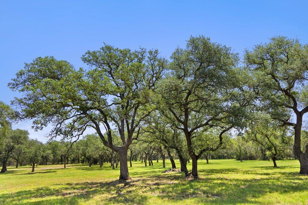 118 E Crestview DR, Johnson City, TX 78636