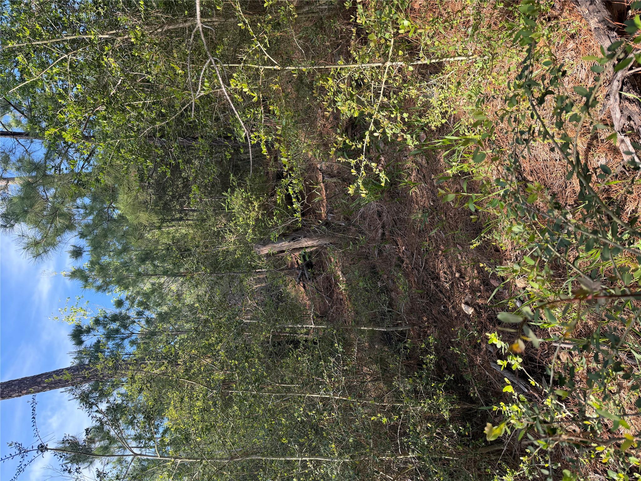 Lot 1384 Pahihi DR, Bastrop, TX 78602