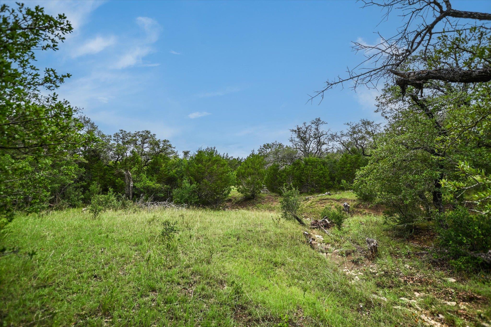 320 Valley Oak DR, Dripping Springs, TX 78620
