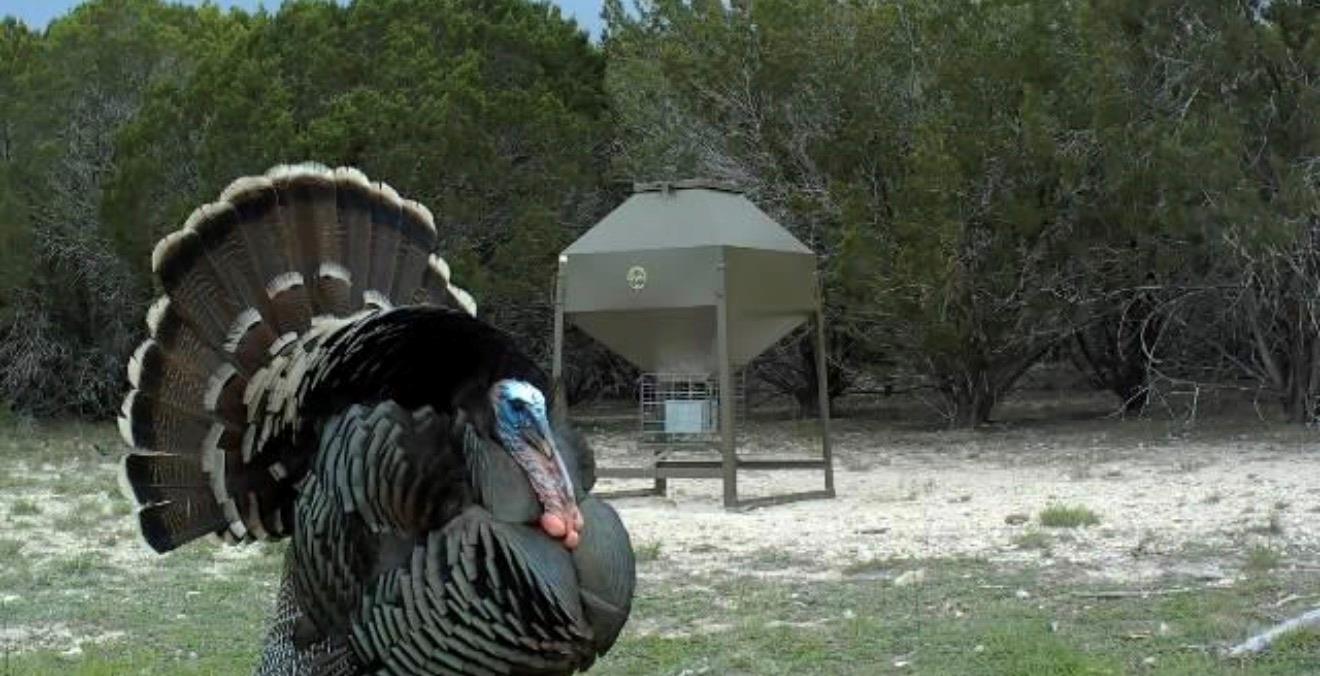 2555 County Road 1139, Lampasas, TX 76550