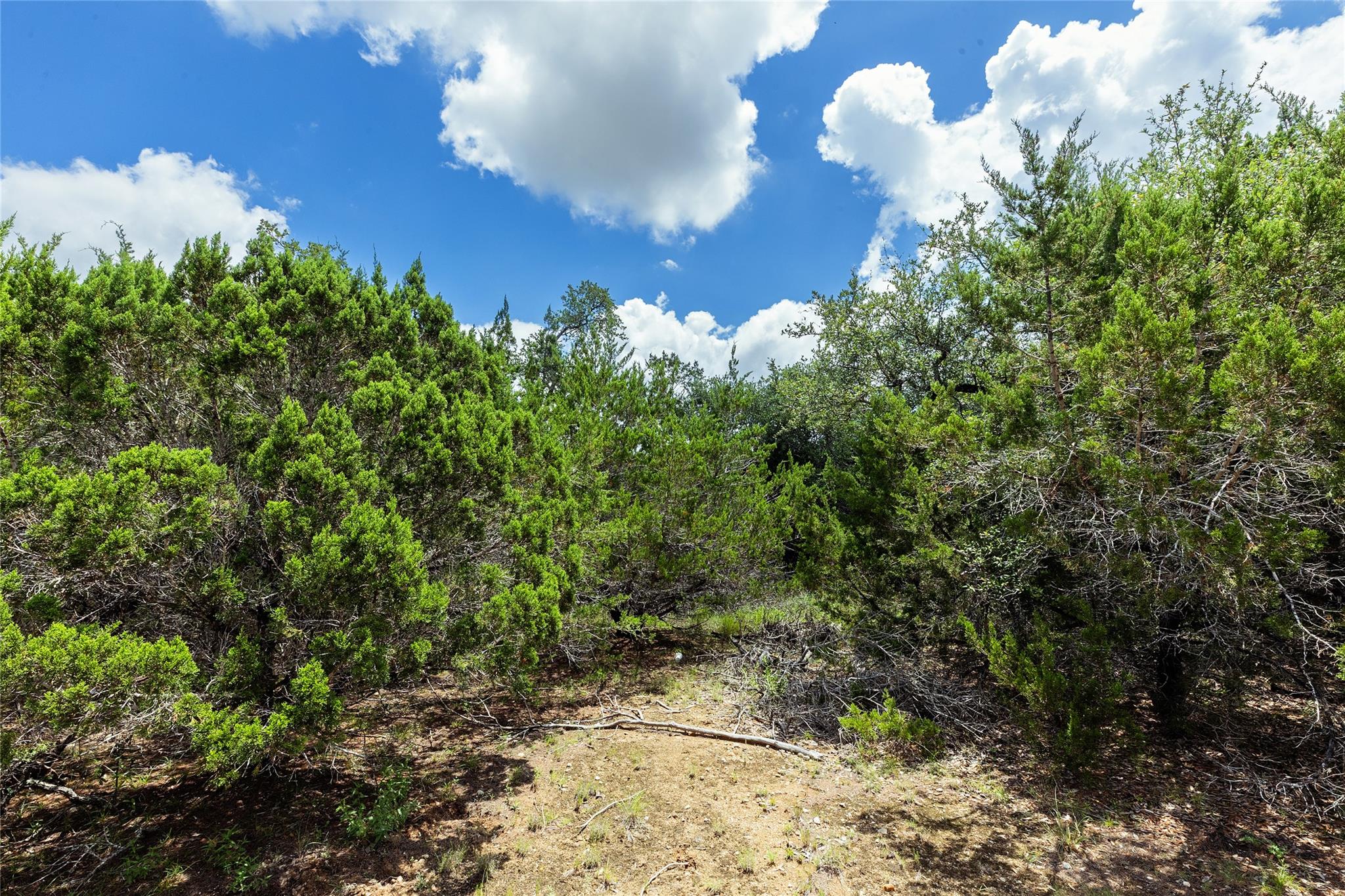 179 Shawnee TRL, Dripping Springs, TX 78620