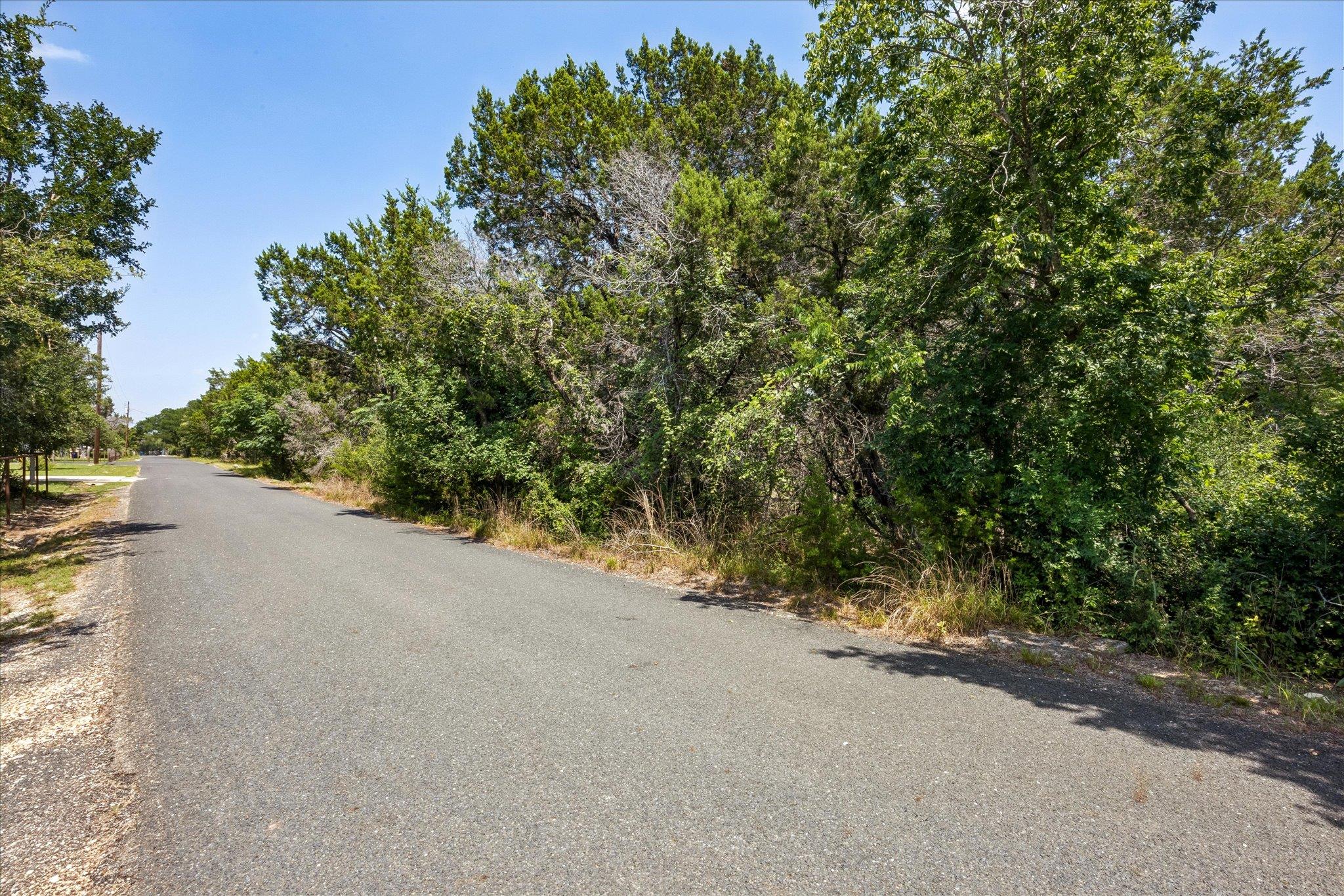 175 Spanish Oak LN, Liberty Hill, TX 78642