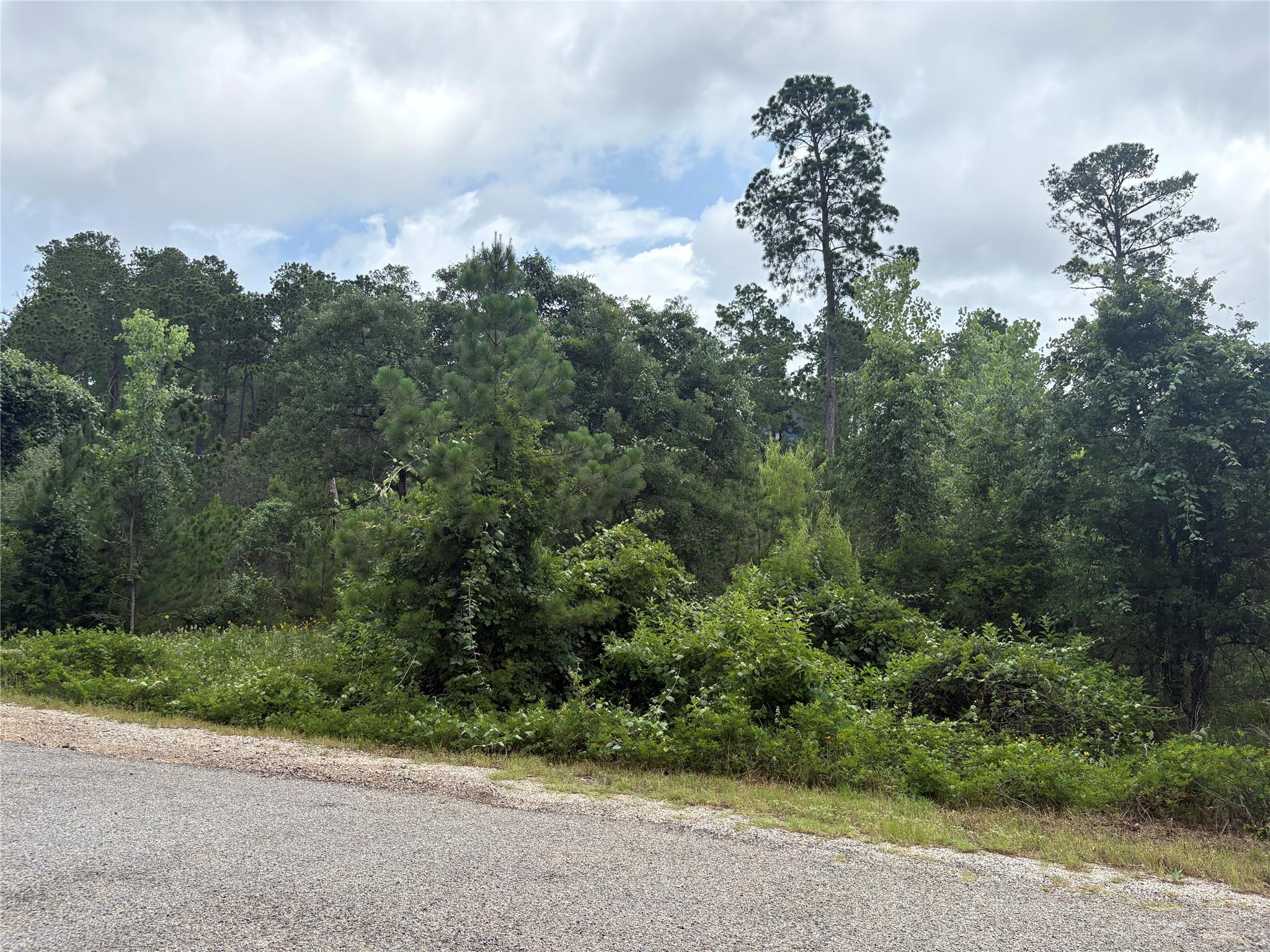 TBD Kaena LN, Bastrop, TX 78602