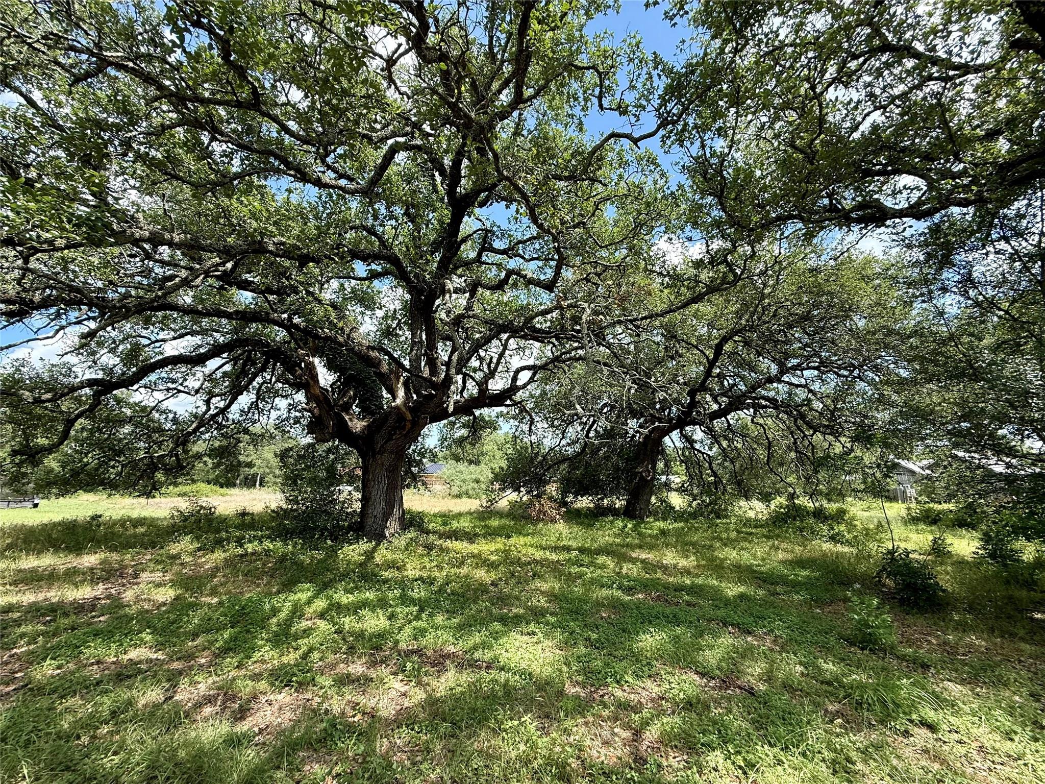 731 Santa Maria RD, Salado, TX 76571
