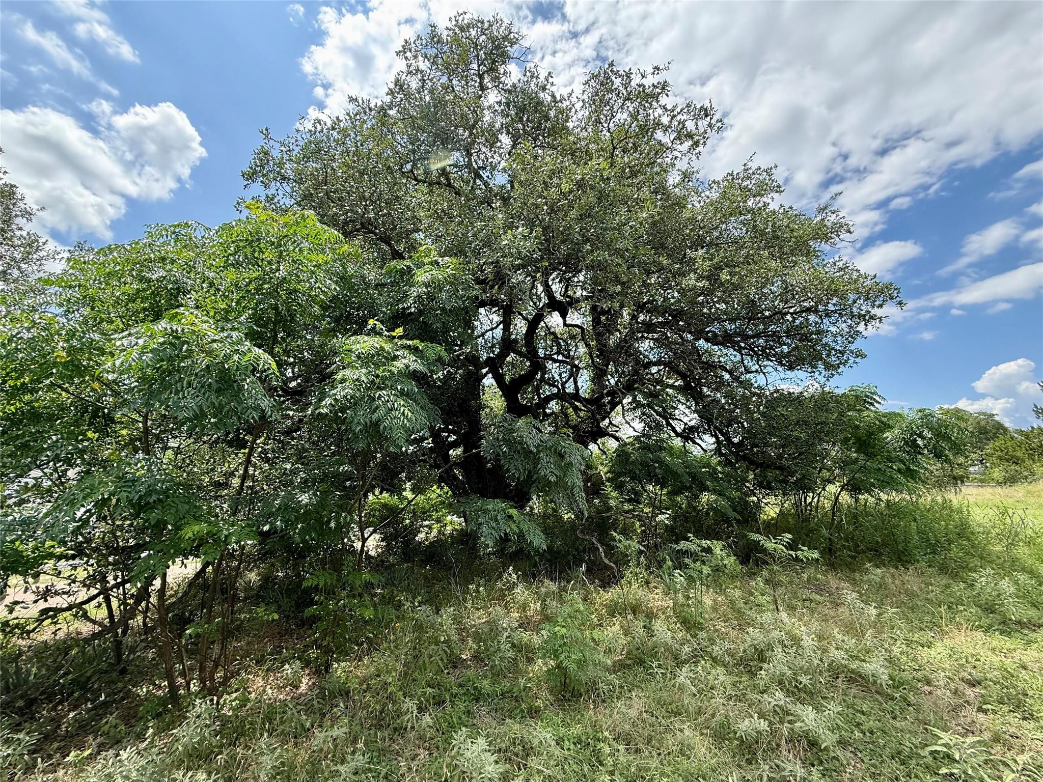 731 Santa Maria RD, Salado, TX 76571