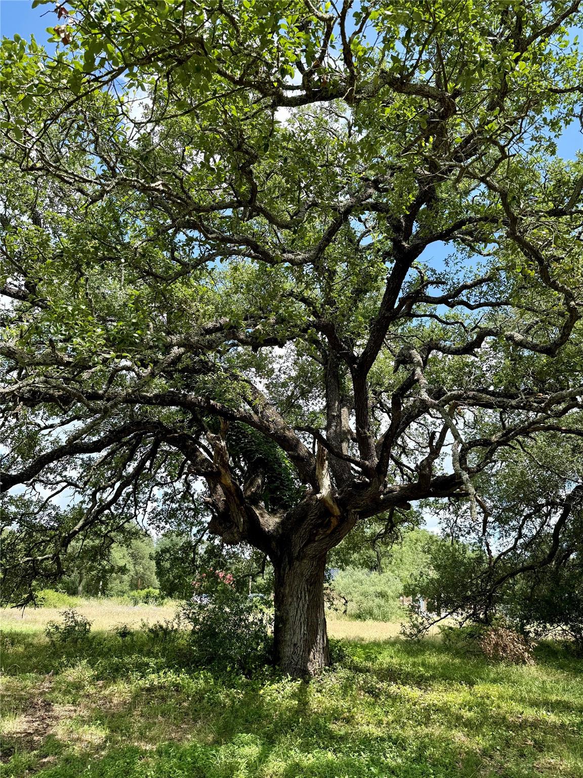 731 Santa Maria RD, Salado, TX 76571