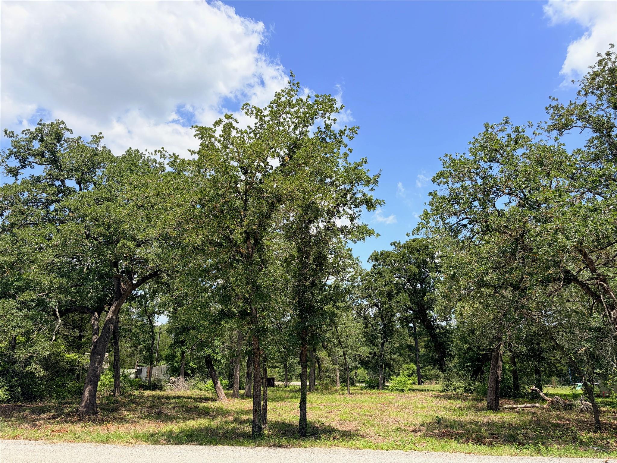 000 Shawnee/arapaho/mohawk DRS, Smithville, TX 78957