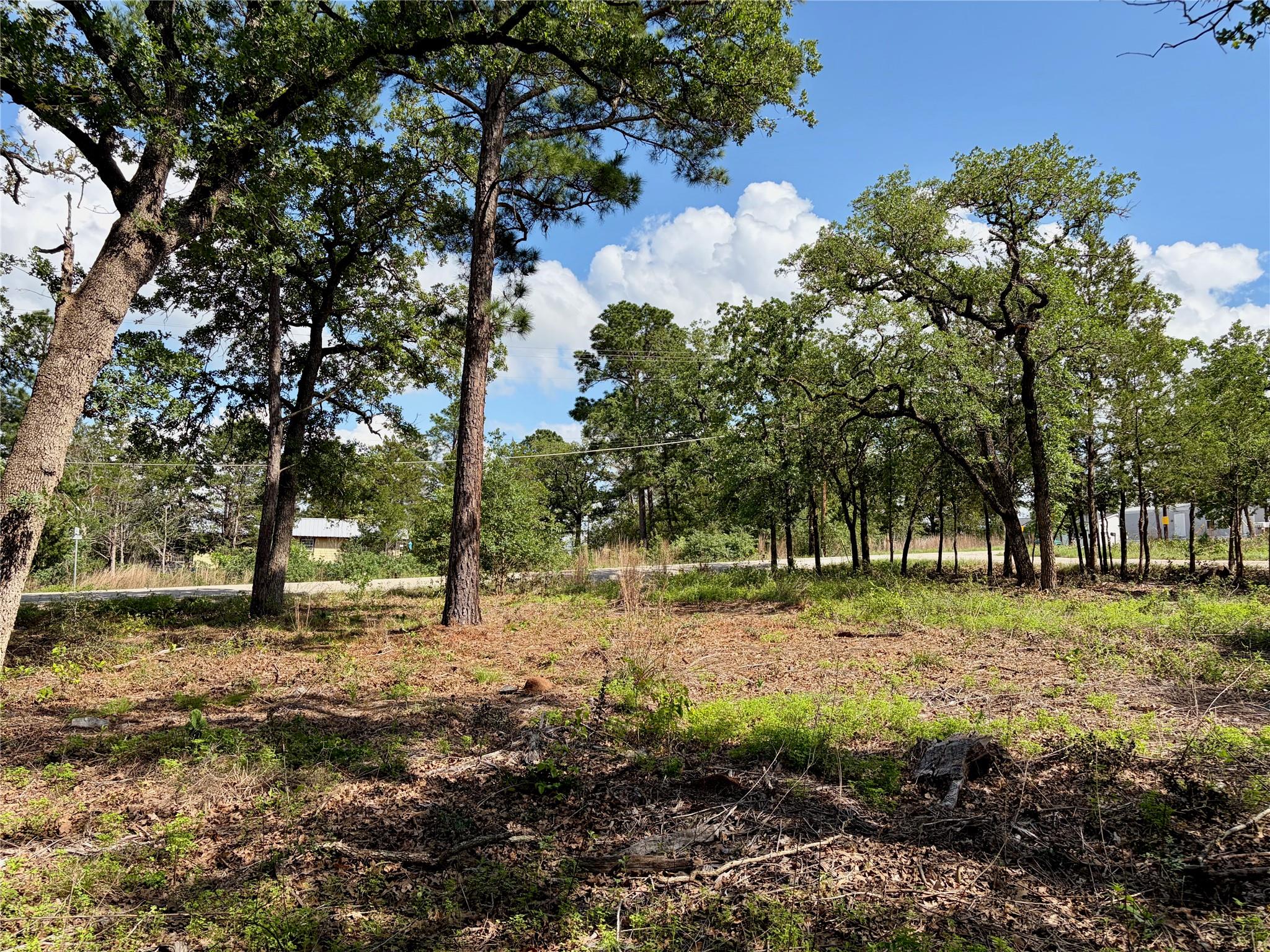 000 Shawnee/arapaho/mohawk DRS, Smithville, TX 78957