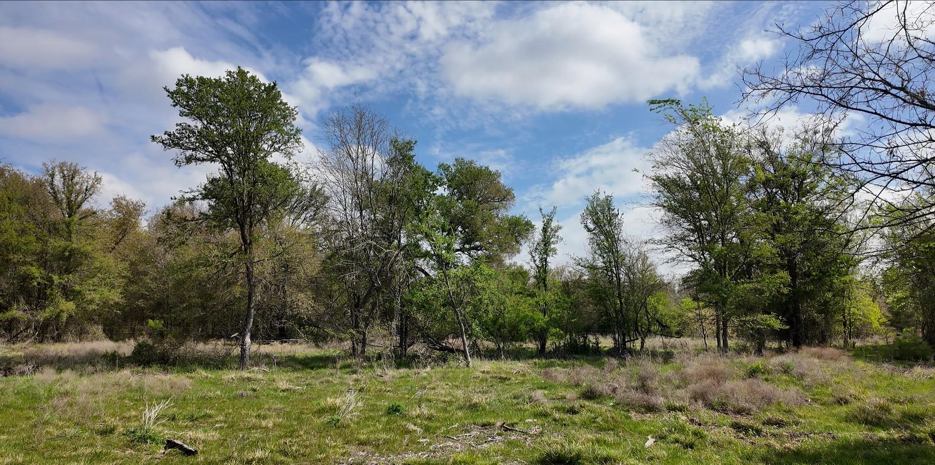 144 Cr 219, Cameron, TX 76520