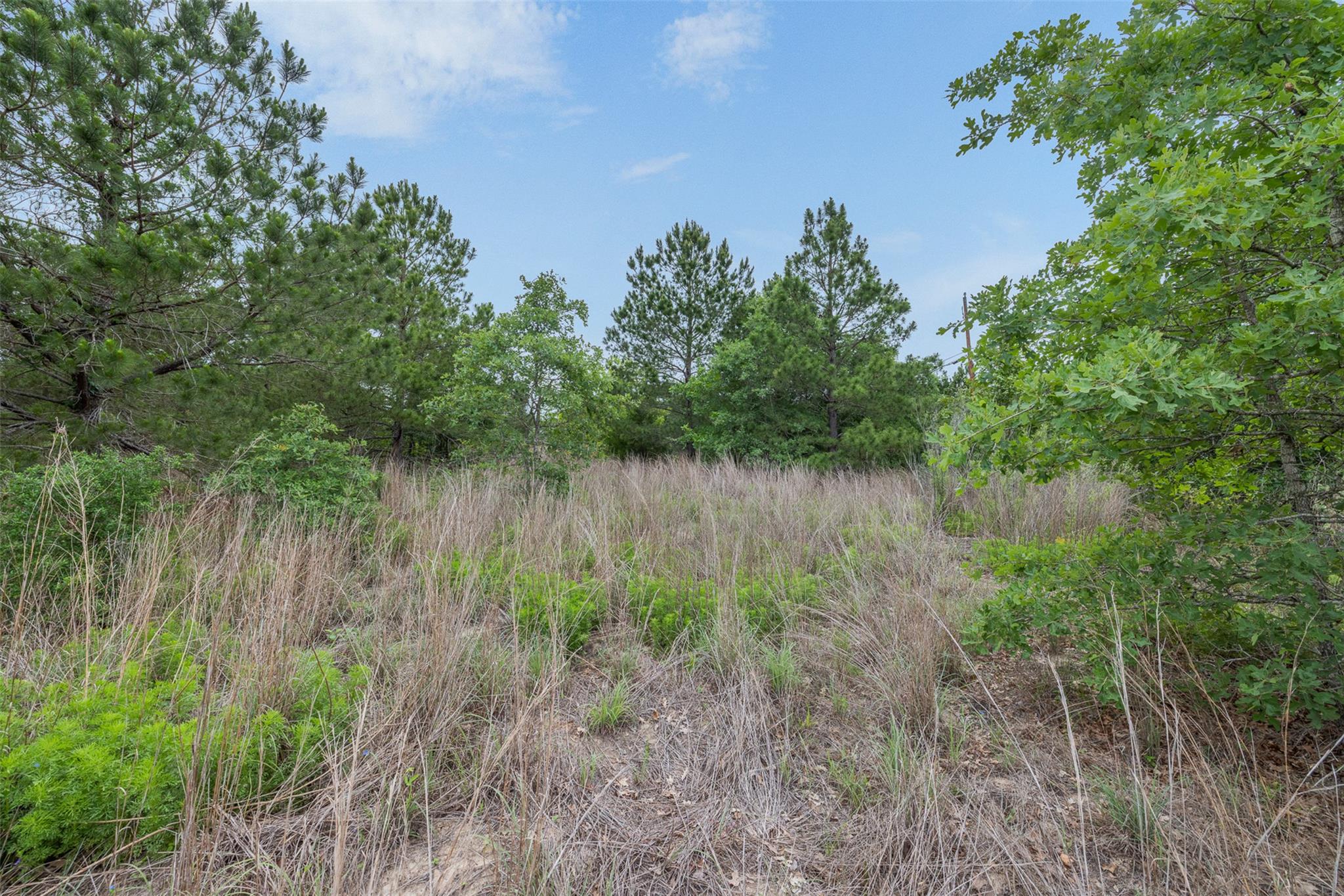 TBD Lot 20c County RD, Bastrop, TX 78602