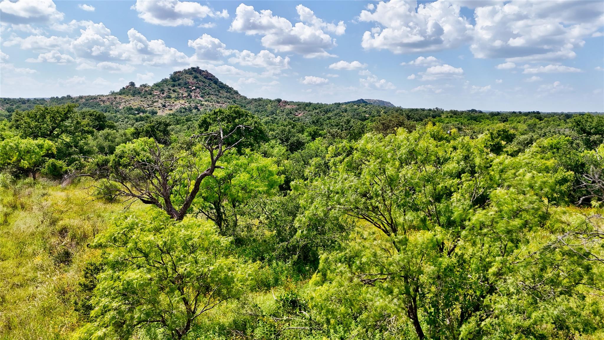 18248 Bode Peak RD, Pontotoc, TX 76869