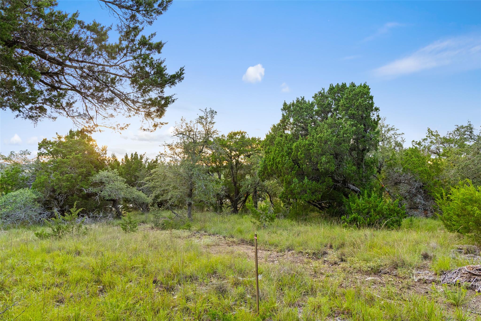 31890 Mirela Ann RD, Dripping Springs, TX 78620