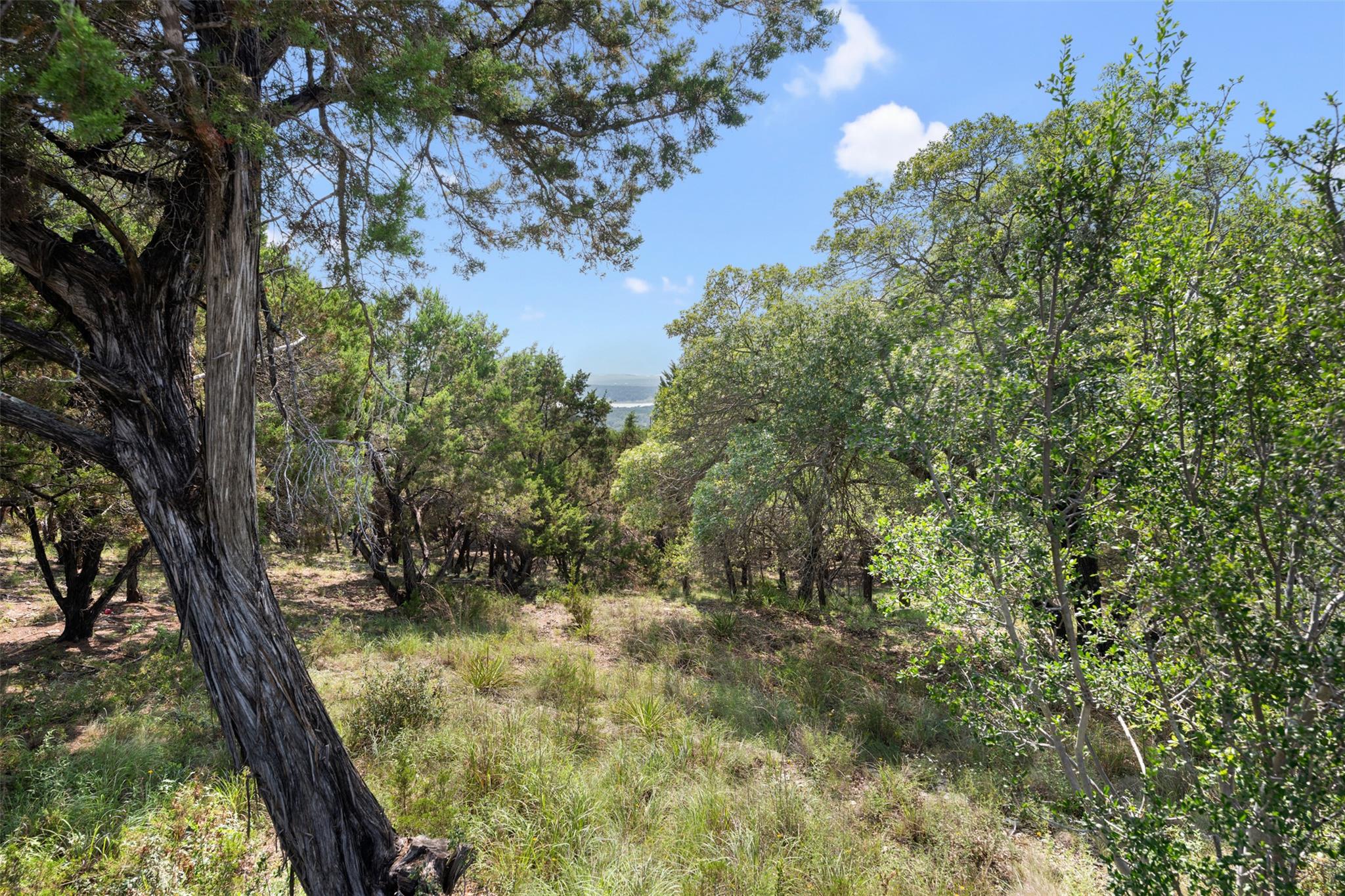 21105 Ridgeview RD, Lago Vista, TX 78645