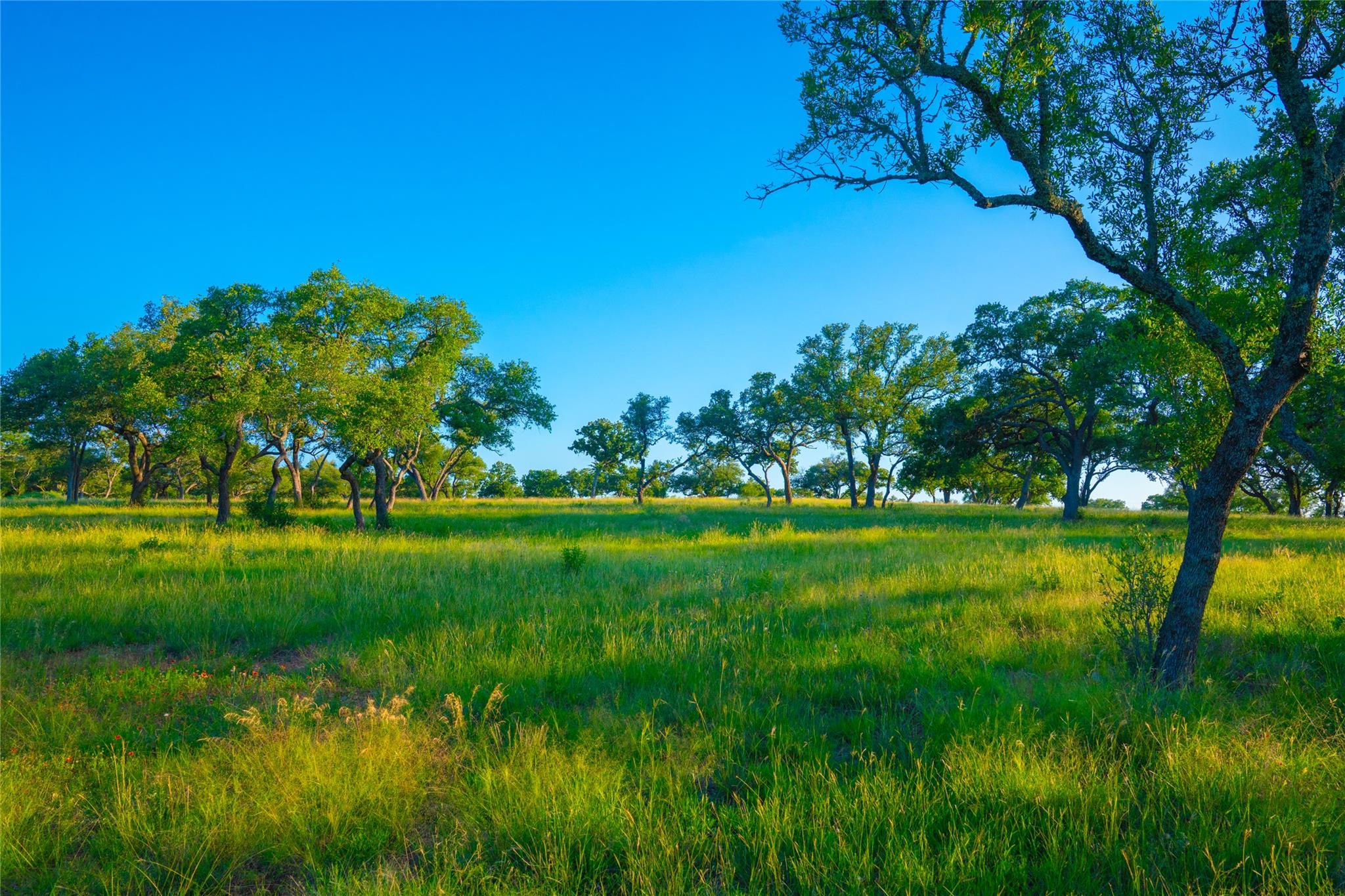 0 Creekside Ranch, Johnson City, TX 78636