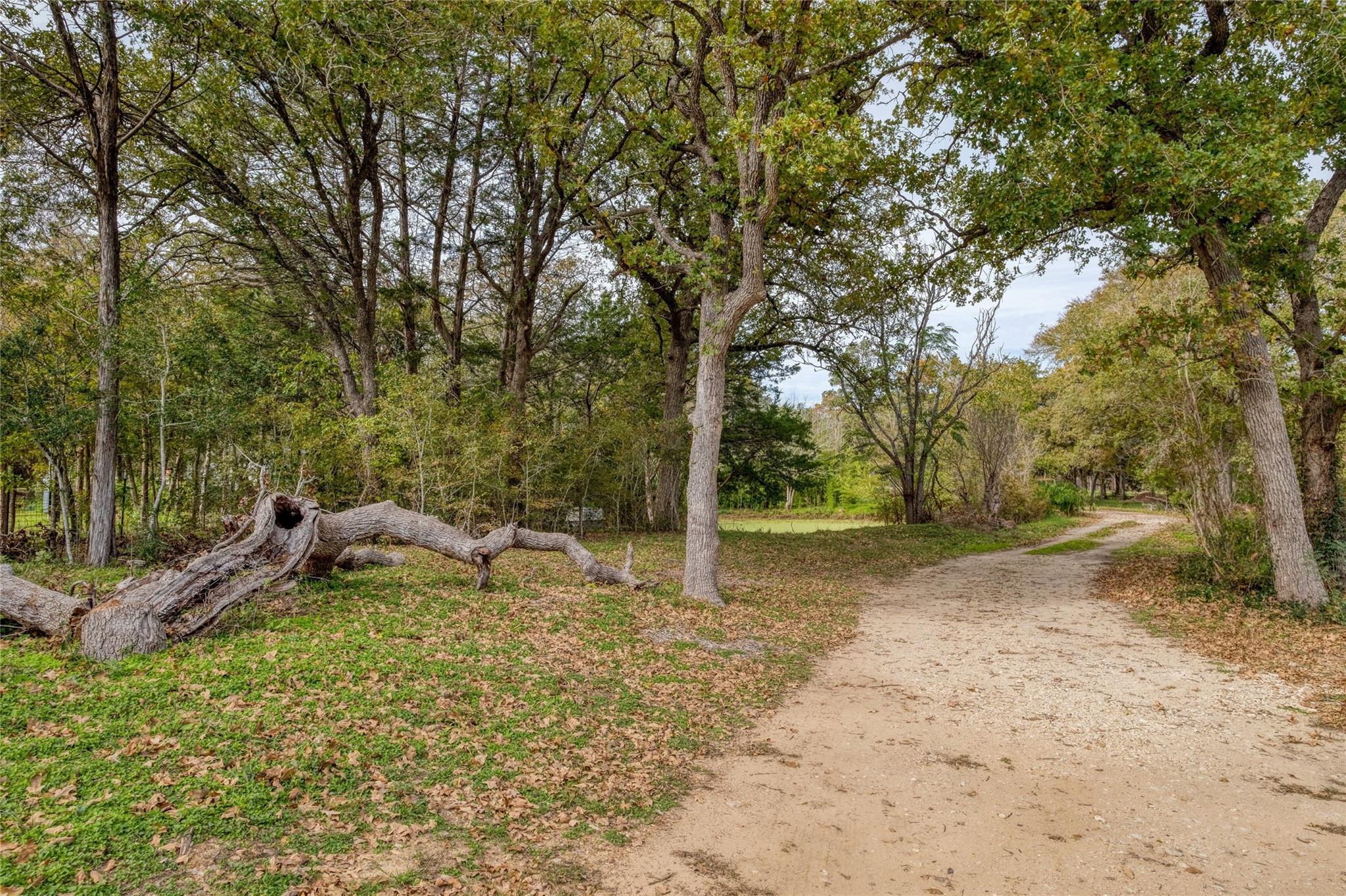201 Artesian DR, Cedar Creek, TX 78612