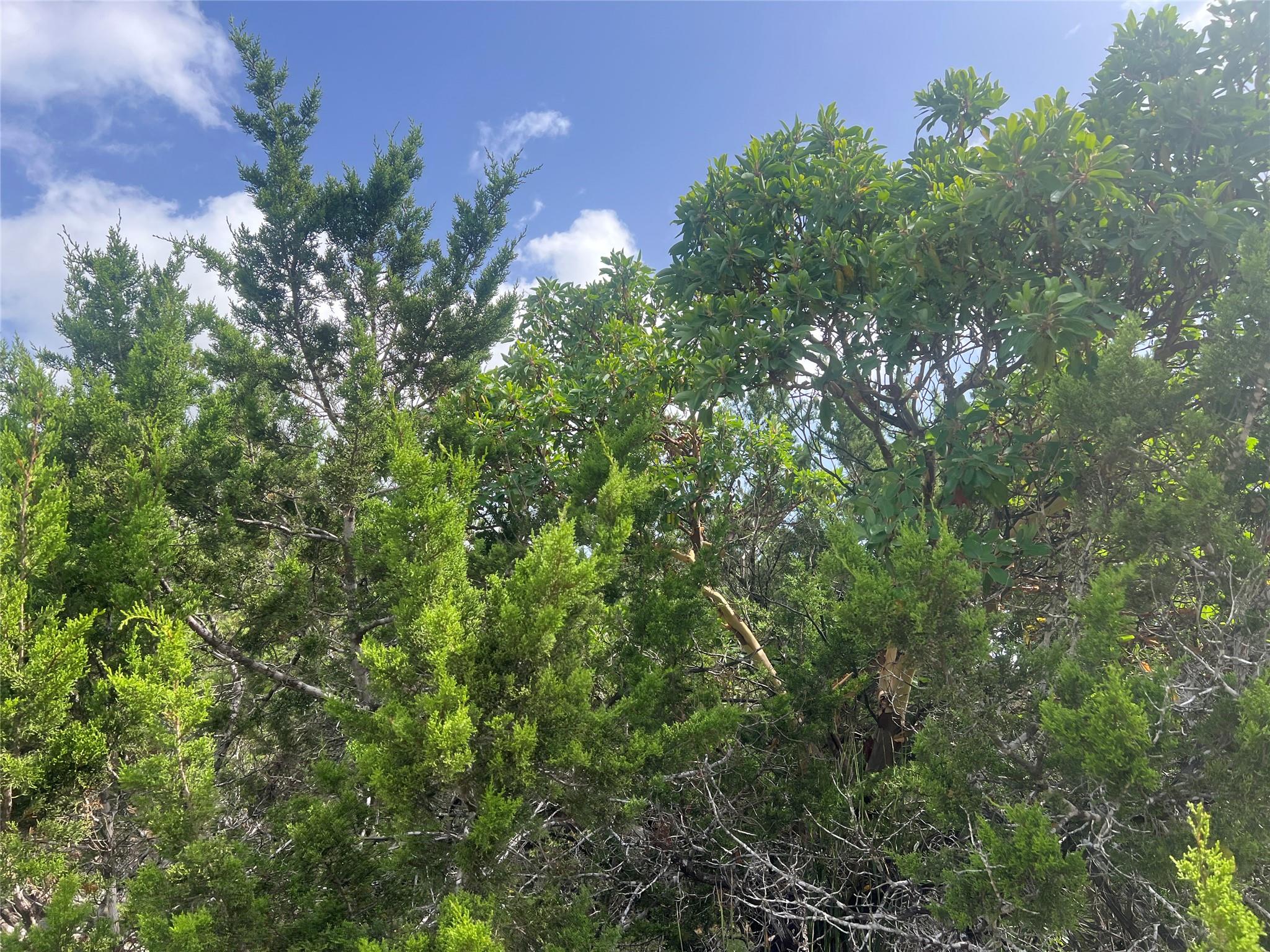 268 Scenic Hills DR, Canyon Lake, TX 78133