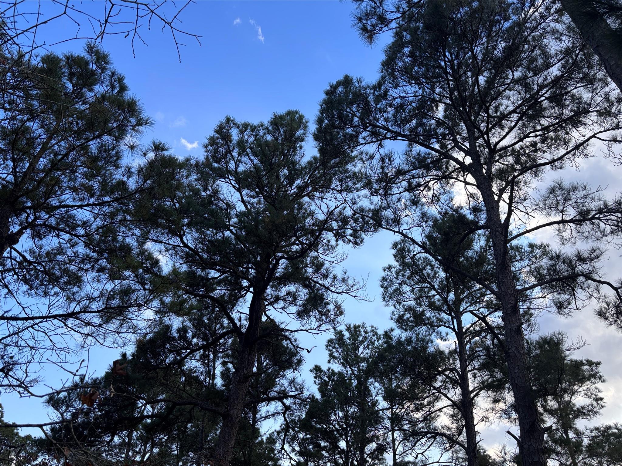 126 - 127 Grand Canyon DR, Bastrop, TX 78602