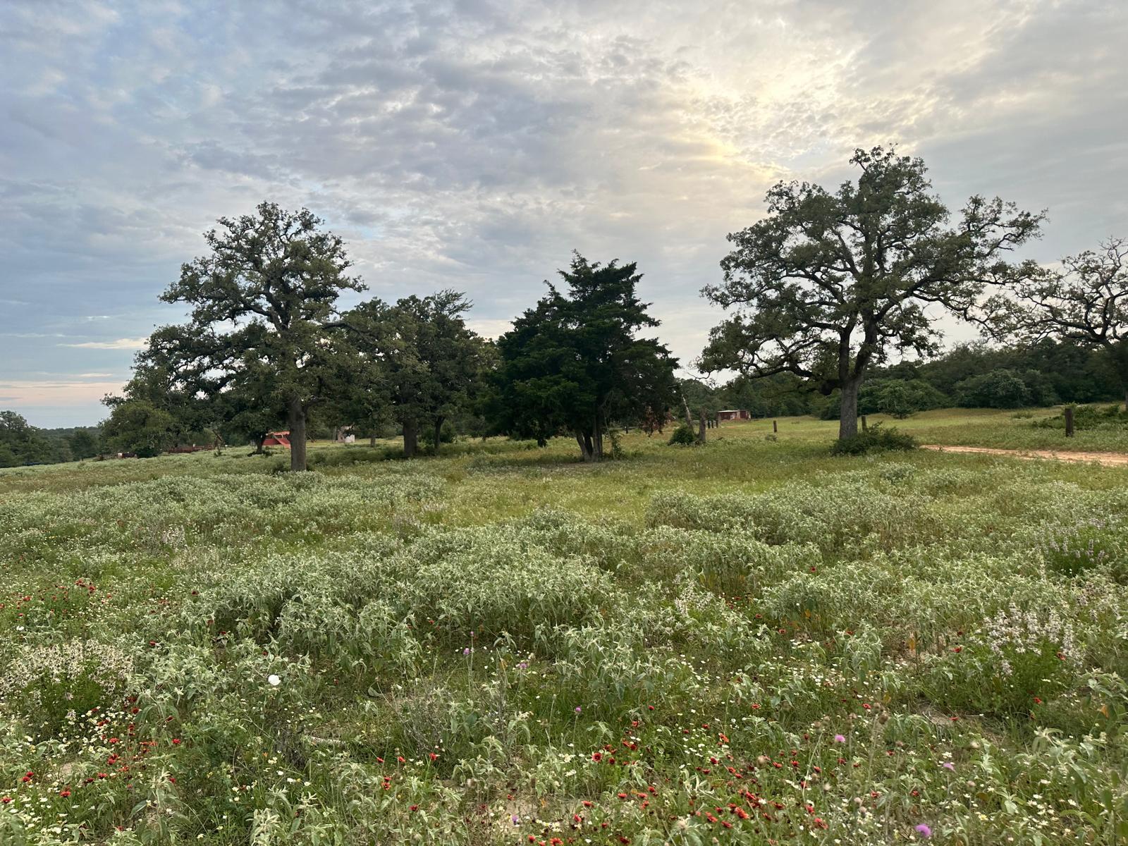 1118 N Woodland TRL, Rockdale, TX 77836
