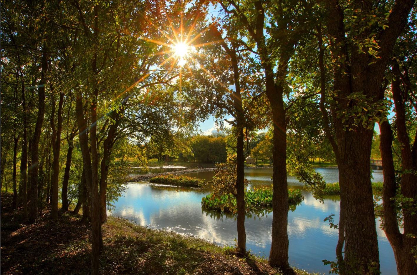 204 Midnight Valley DR, Cedar Creek, TX 78612