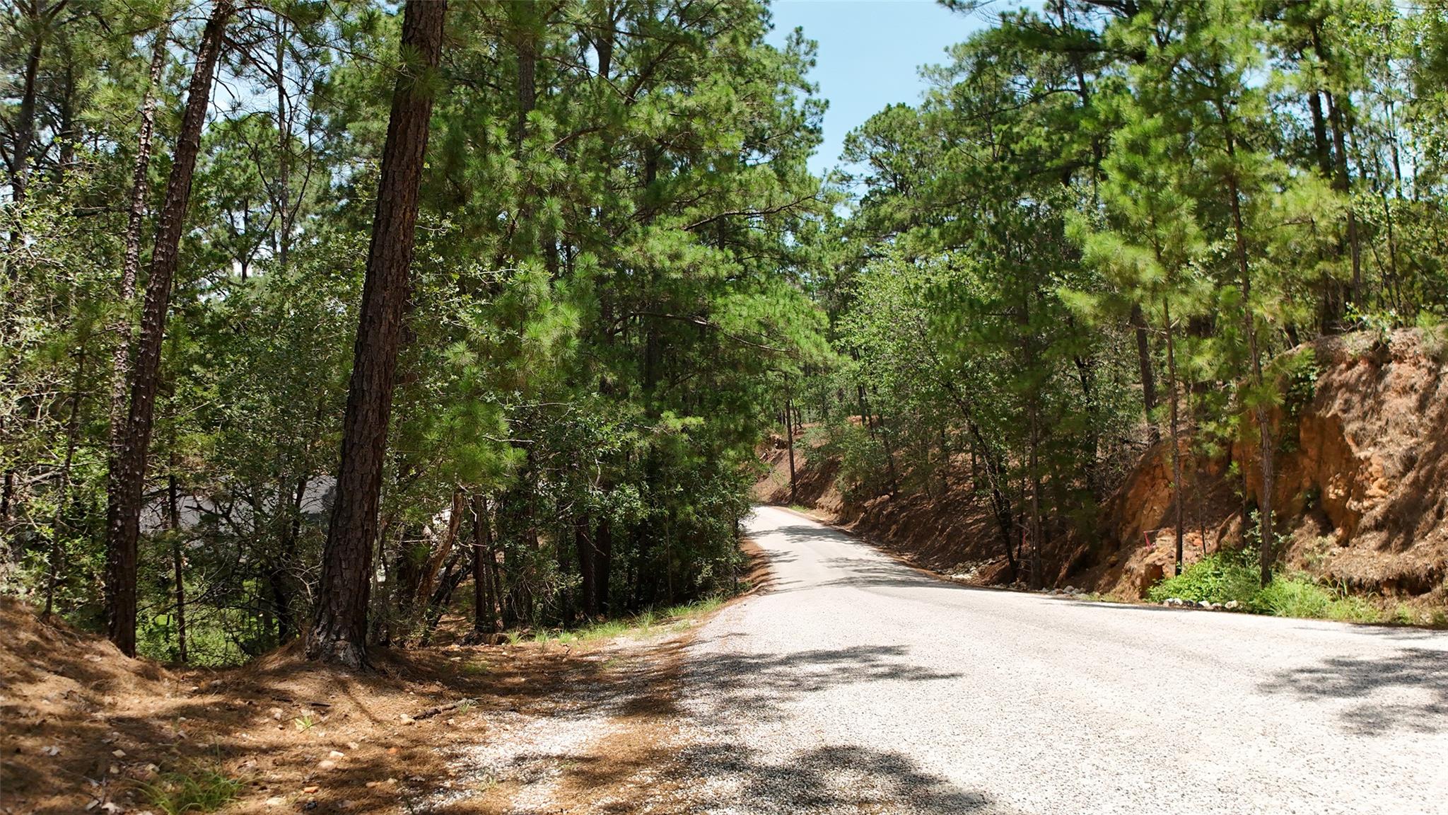 Lot 232 Hekili DR, Bastrop, TX 78602