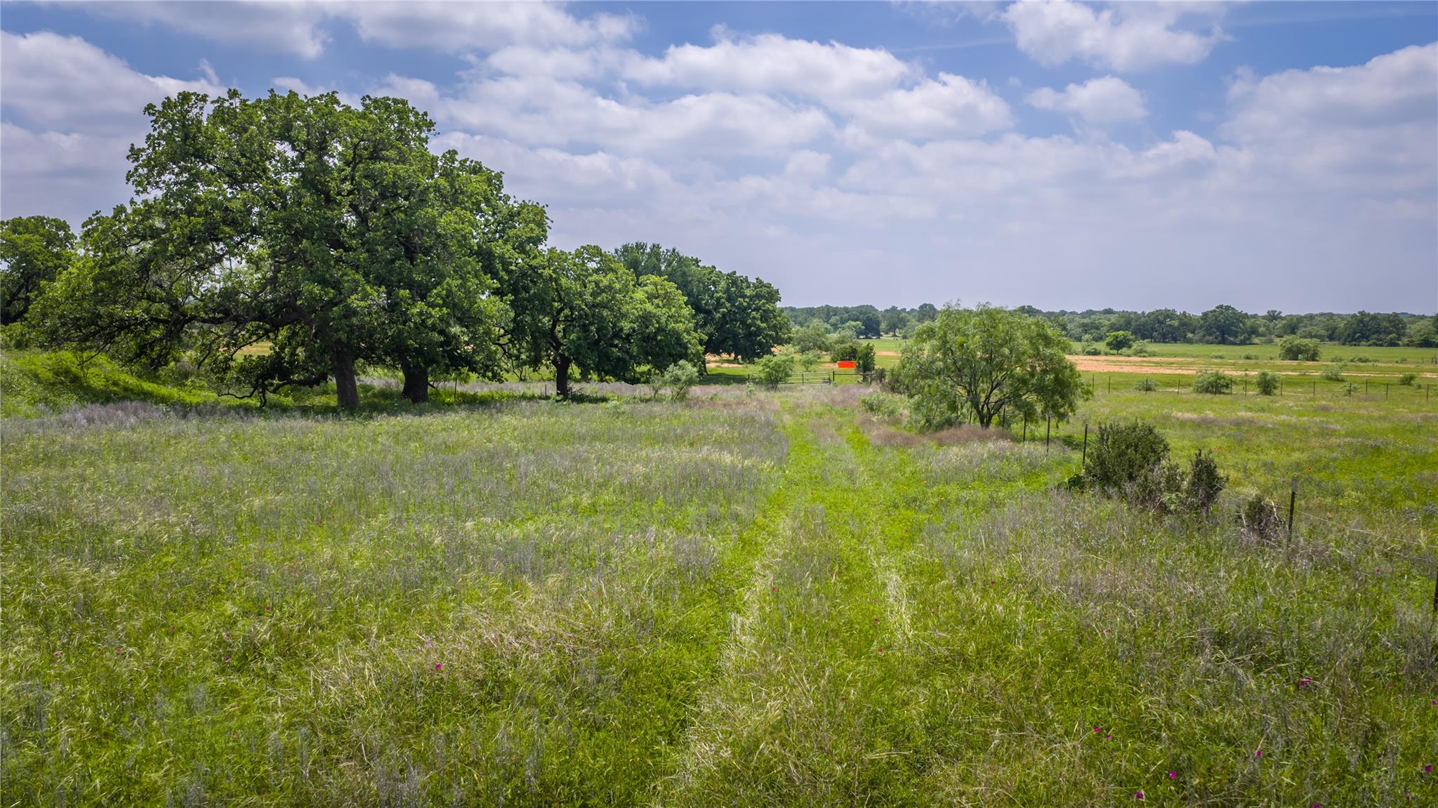 19815 Farm To Market 500, Richland Springs, TX 76871