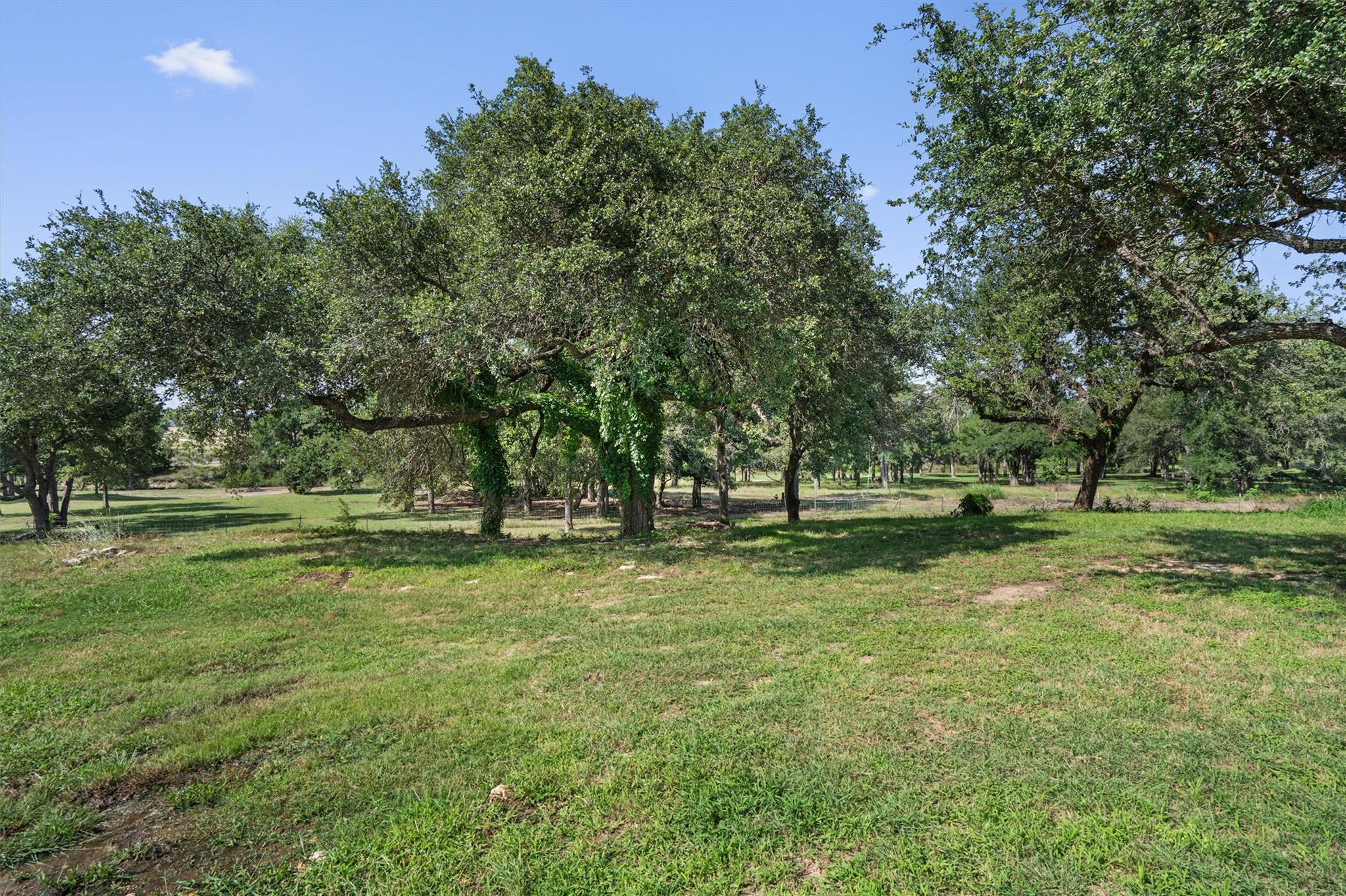 235 Little Gabriel River DR, Liberty Hill, TX 78642