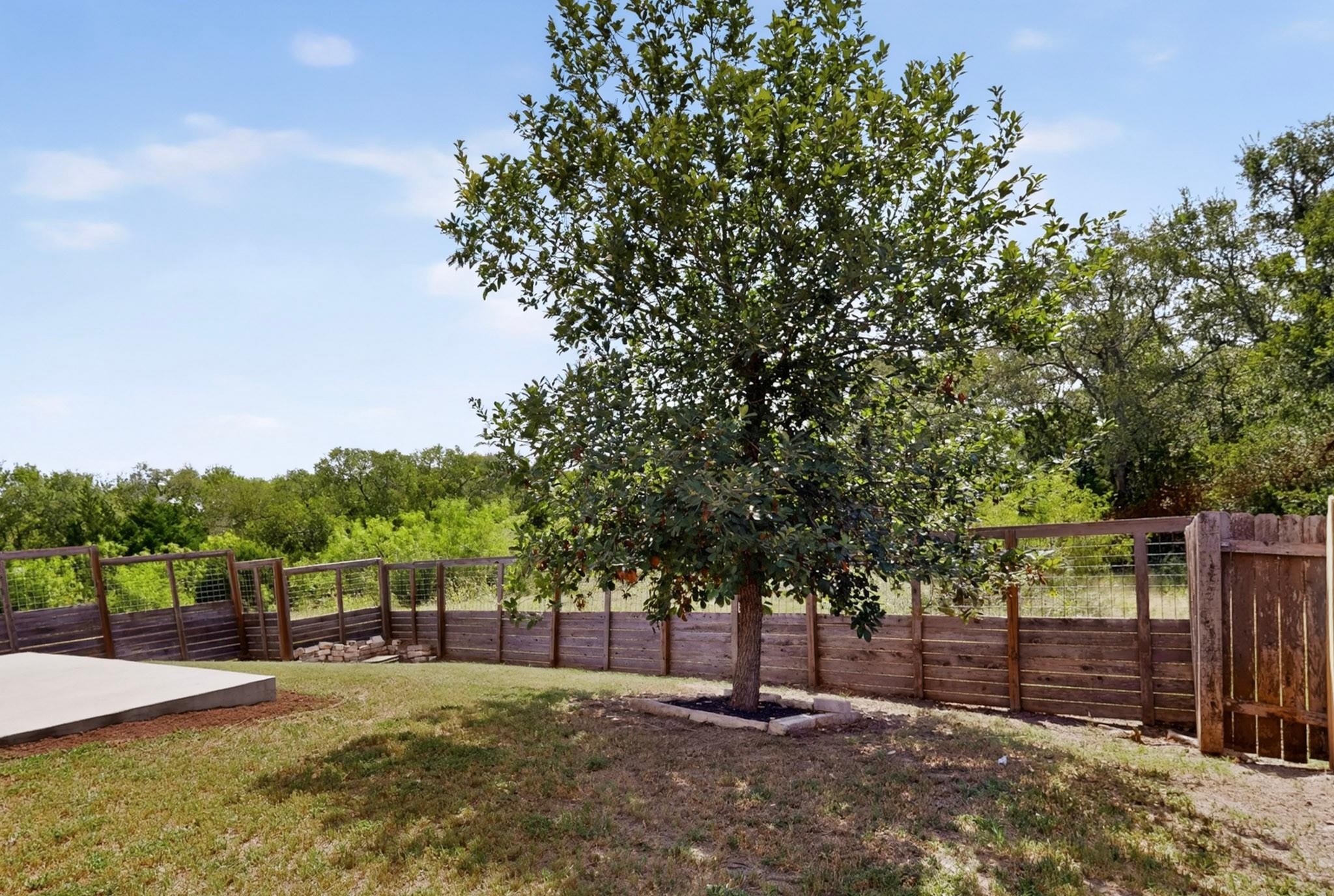 10029 Dalliance LN, Manor, TX 78653