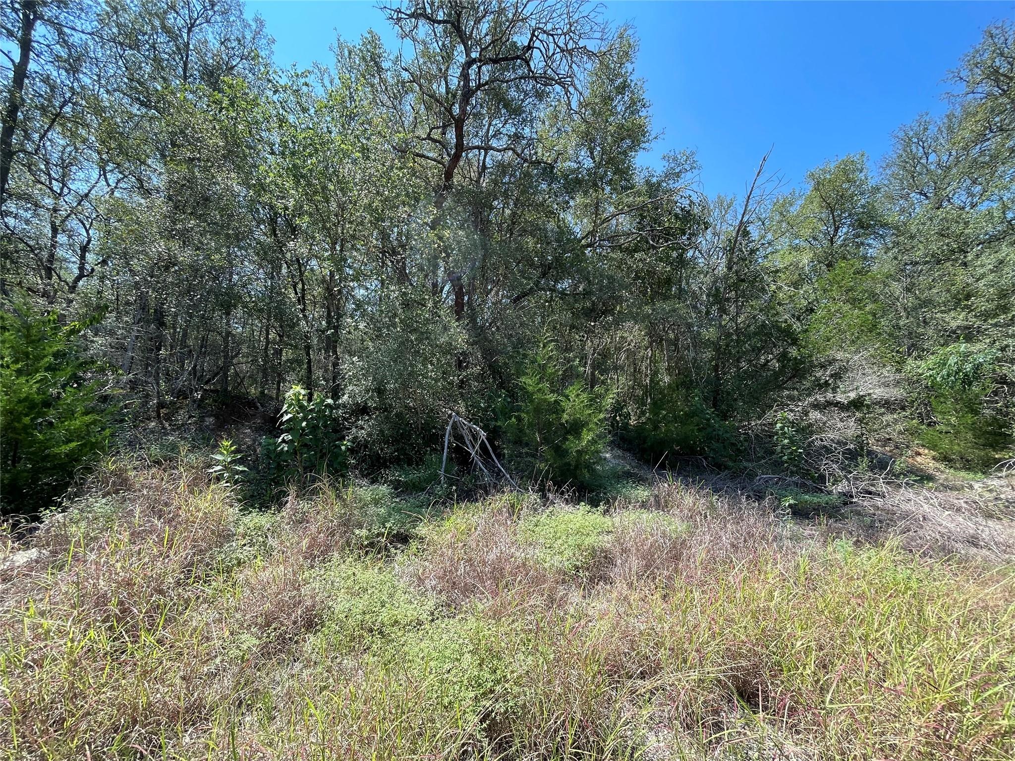 Lot 1112 Kawanui DR, Bastrop, TX 78602