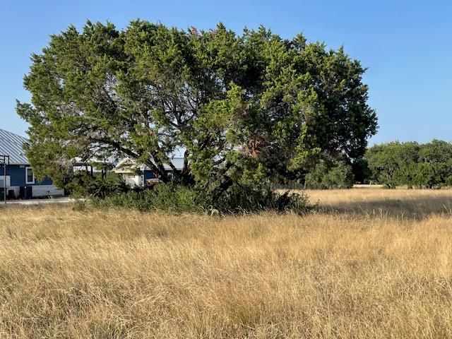 Lot 4 Oak Vista Dr, Burnet, TX 78611