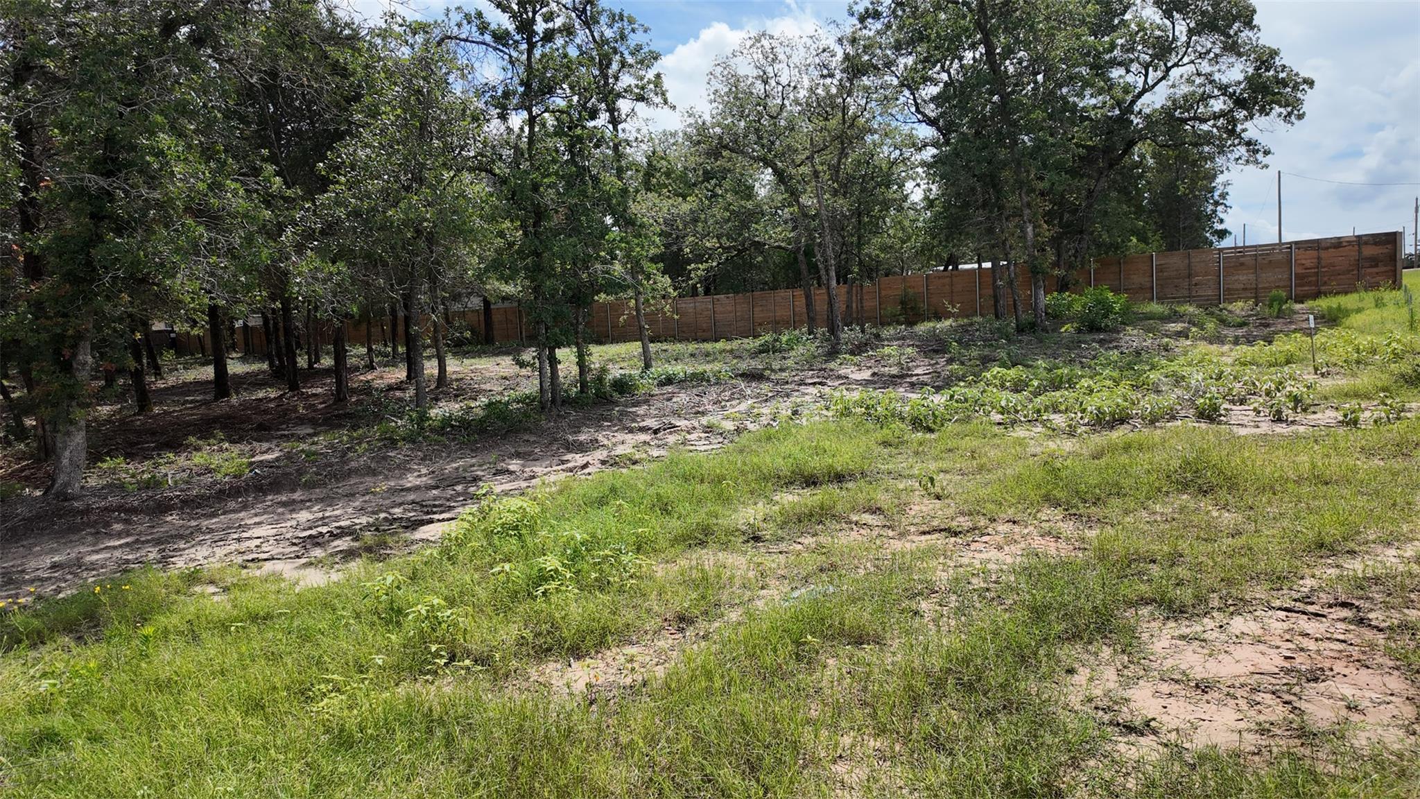 160 Los Robles RD, Elgin, TX 78621