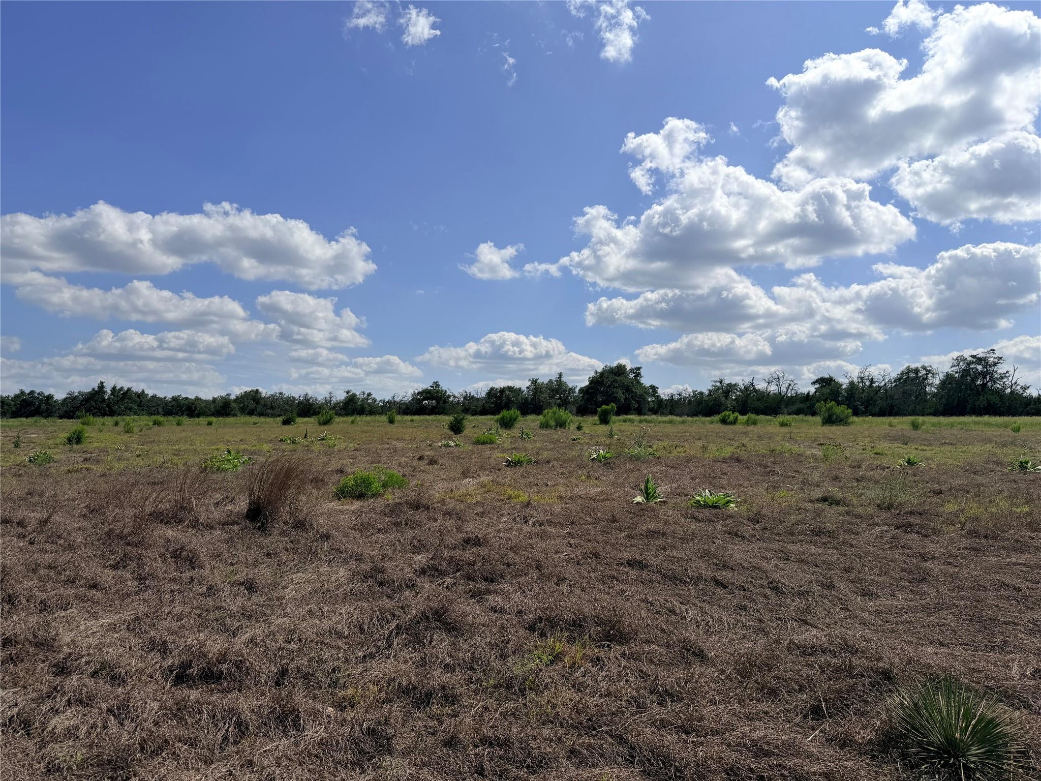 485 Inspiration Loop, Fredericksburg, TX 78624