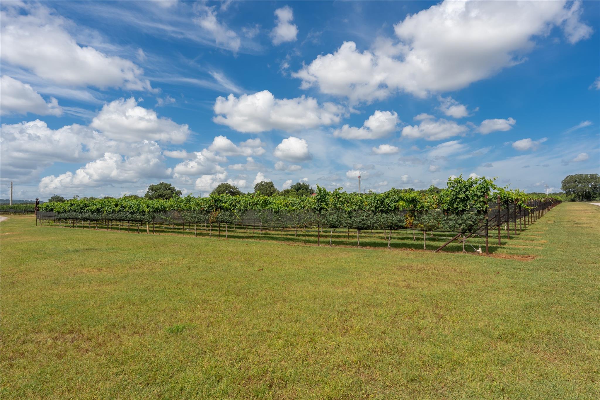 TBD Wine Trail DR, Johnson City, TX 78636