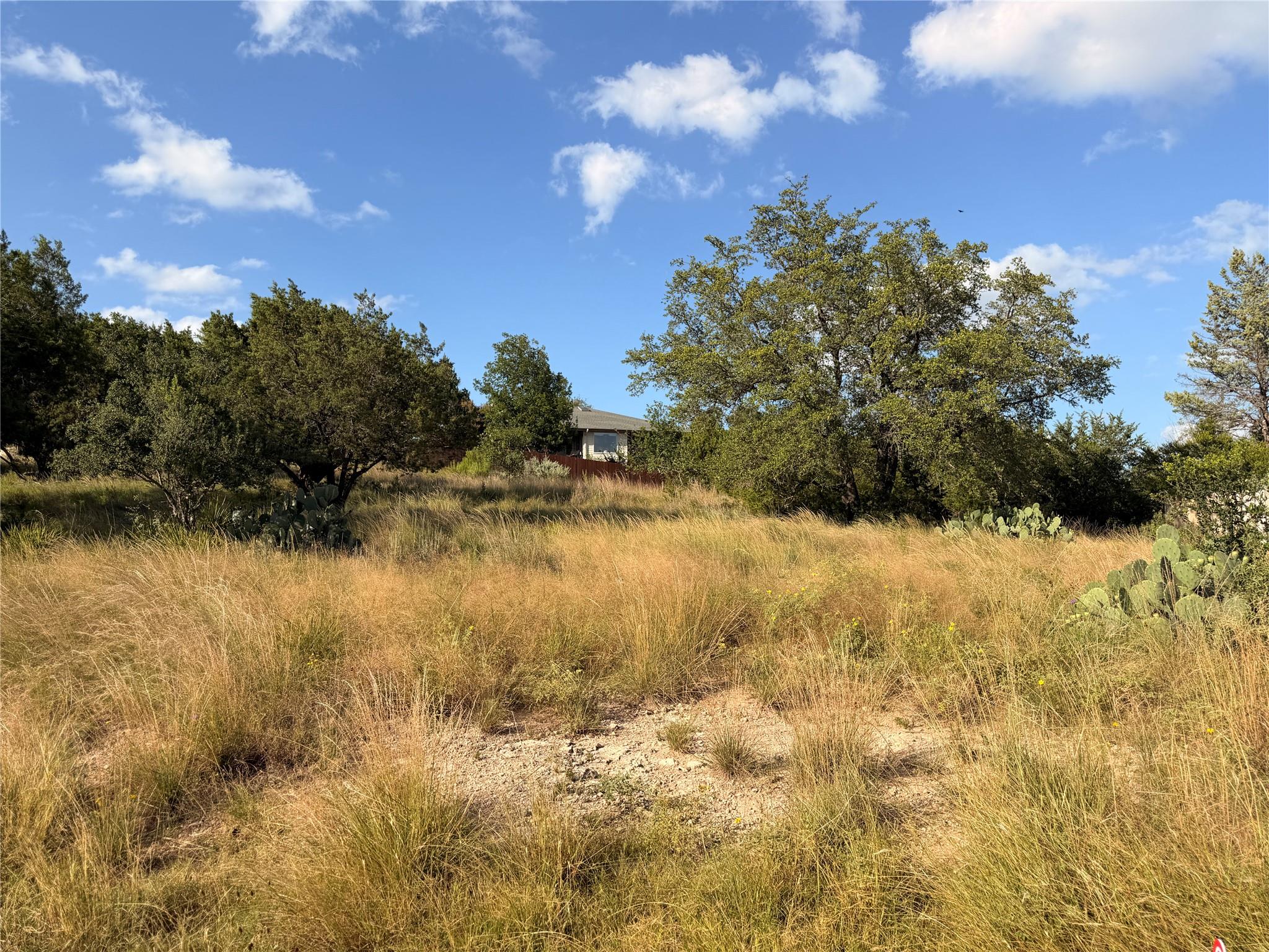20802 Madison CV, Lago Vista, TX 78645