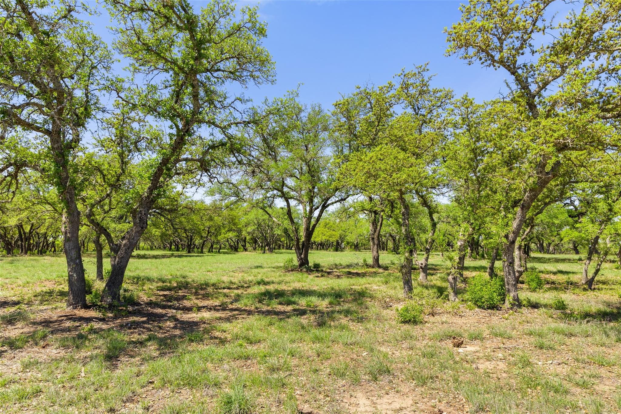793 Gibson RD, Johnson City, TX 78636