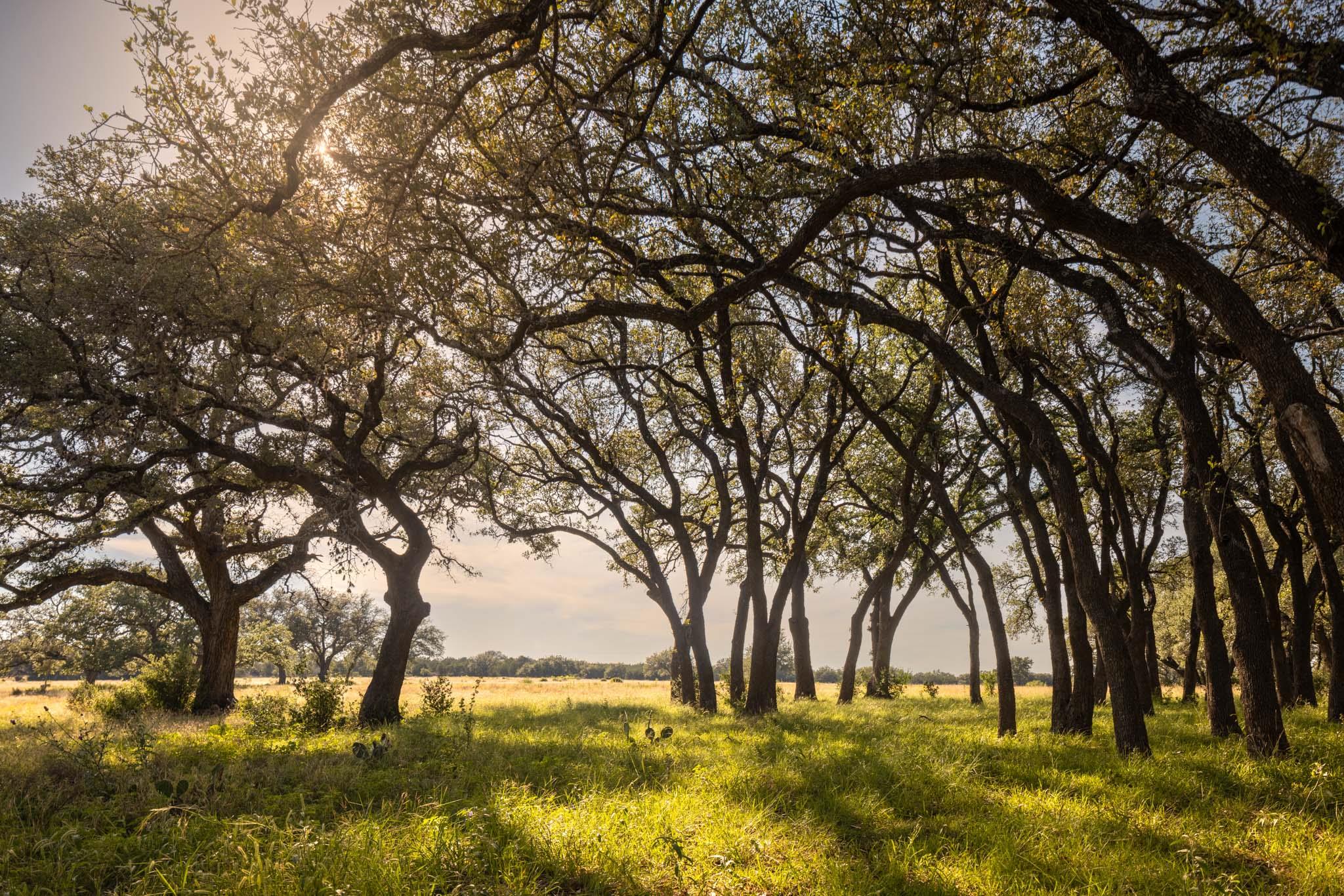 795 Gibson RD, Johnson City, TX 78636