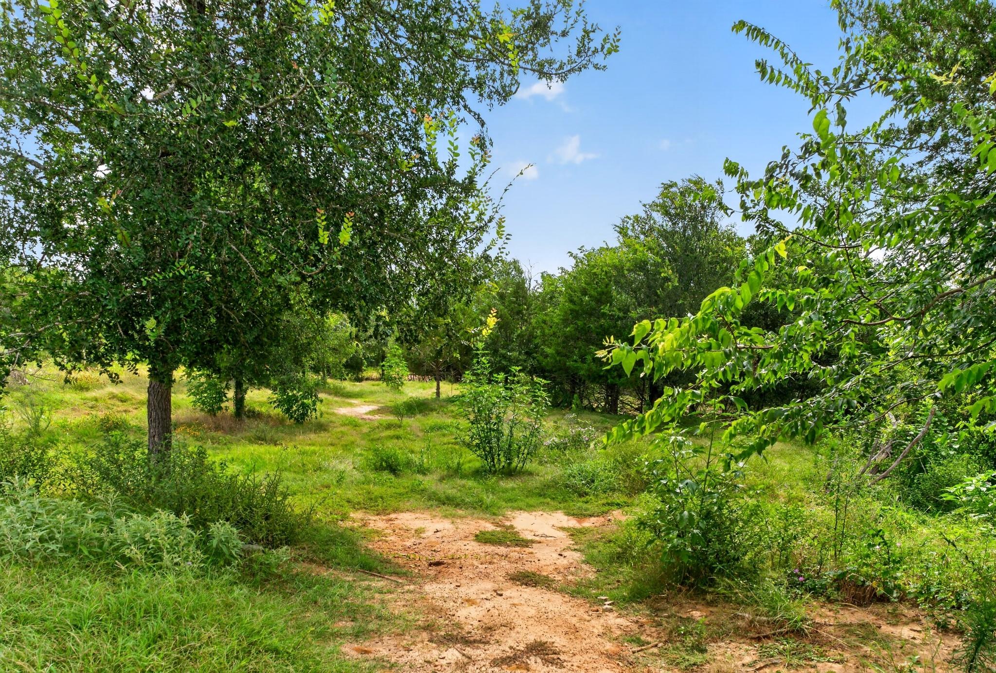 1689 Fm 2104, Paige, TX 78659