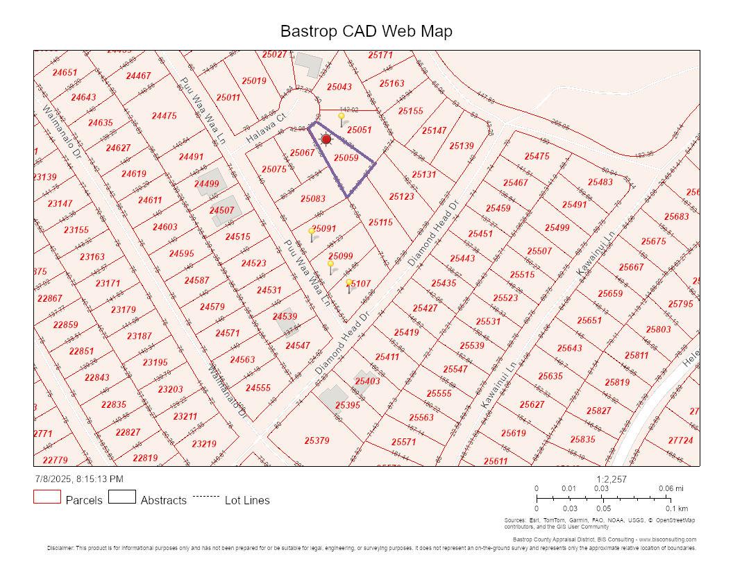 107 Halawa CT, Bastrop, TX 78602