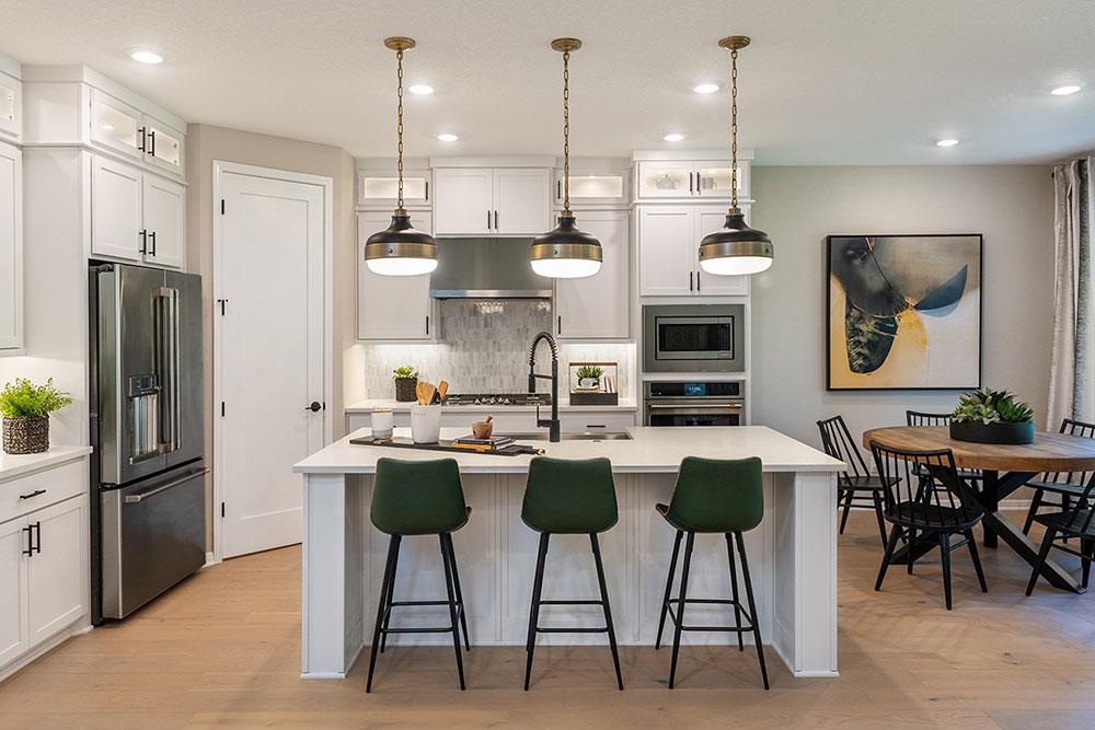 1117 Scenic Green Loop, Georgetown, TX 78628