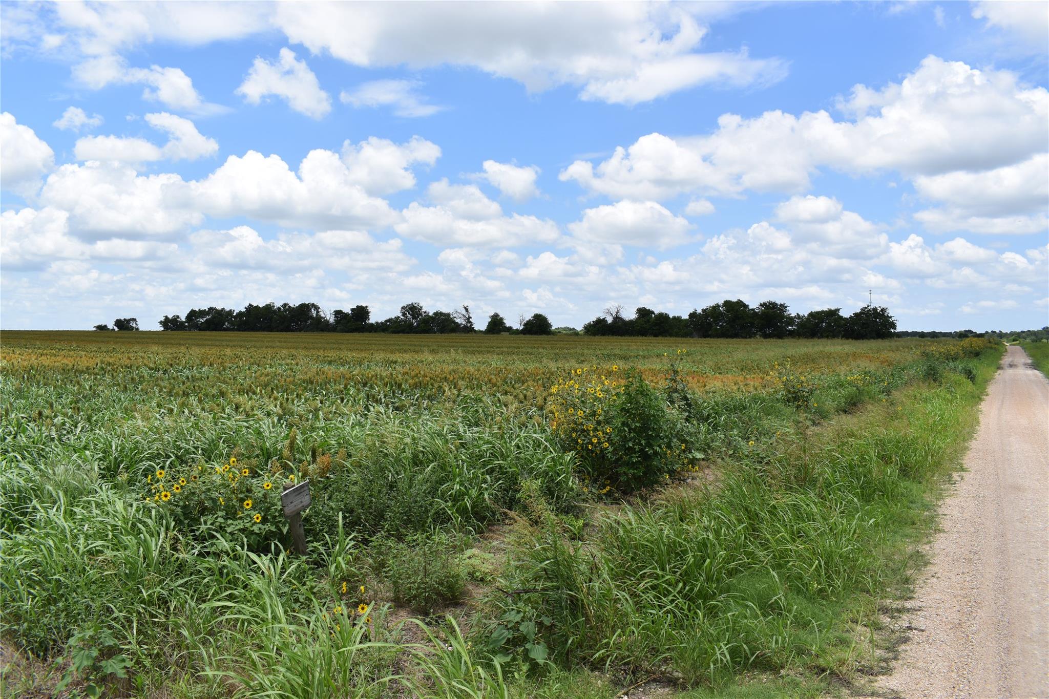 TBD County Road 109, Buckholts, TX 76518