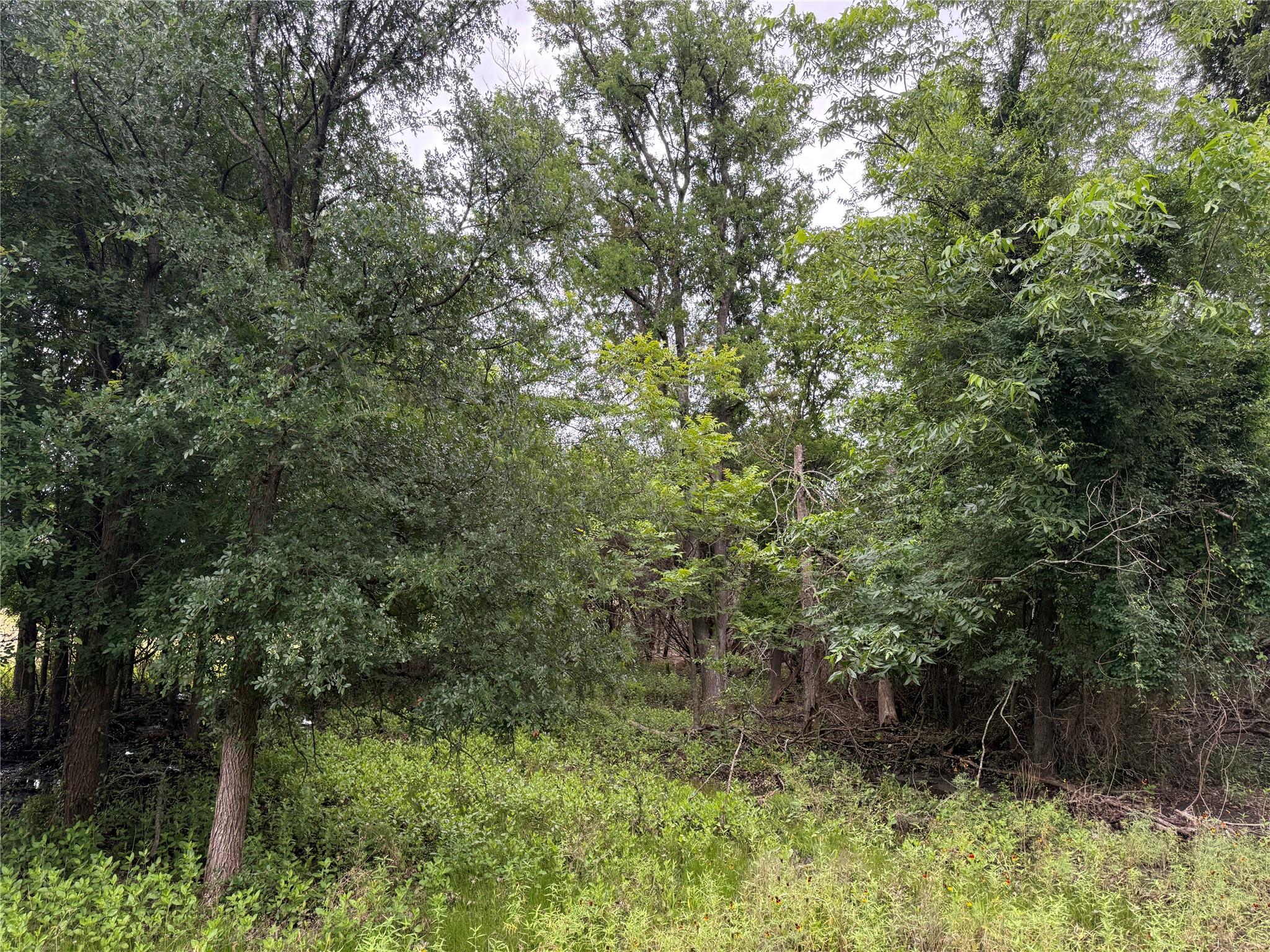 13272 Fm 2484, Salado, TX 76571