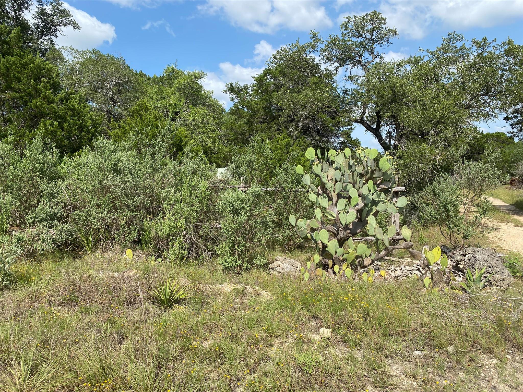 TBD Whisper Ridge Lot 12 LN, Wimberley, TX 78676