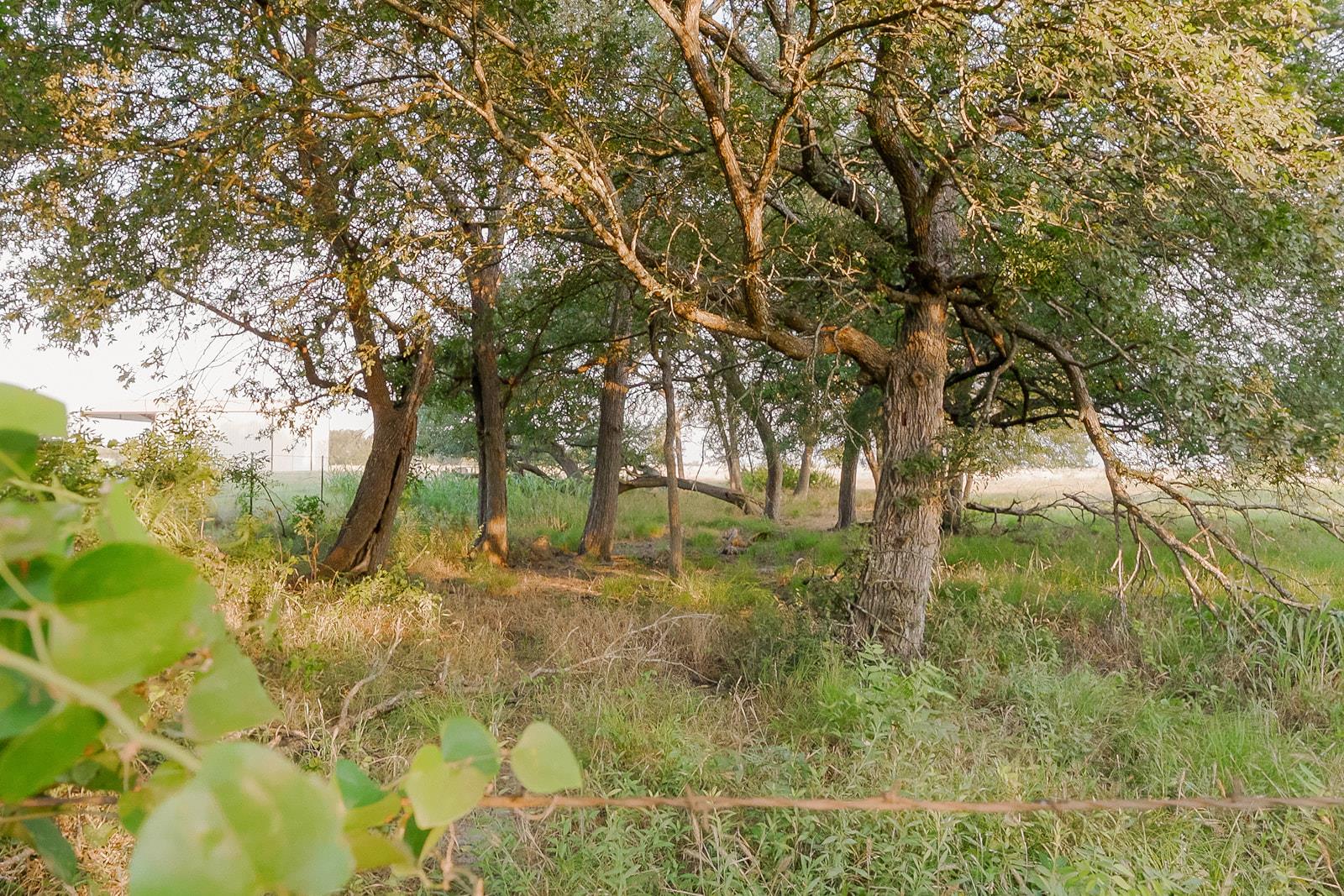000 County Road 429, Rockdale, TX 76567