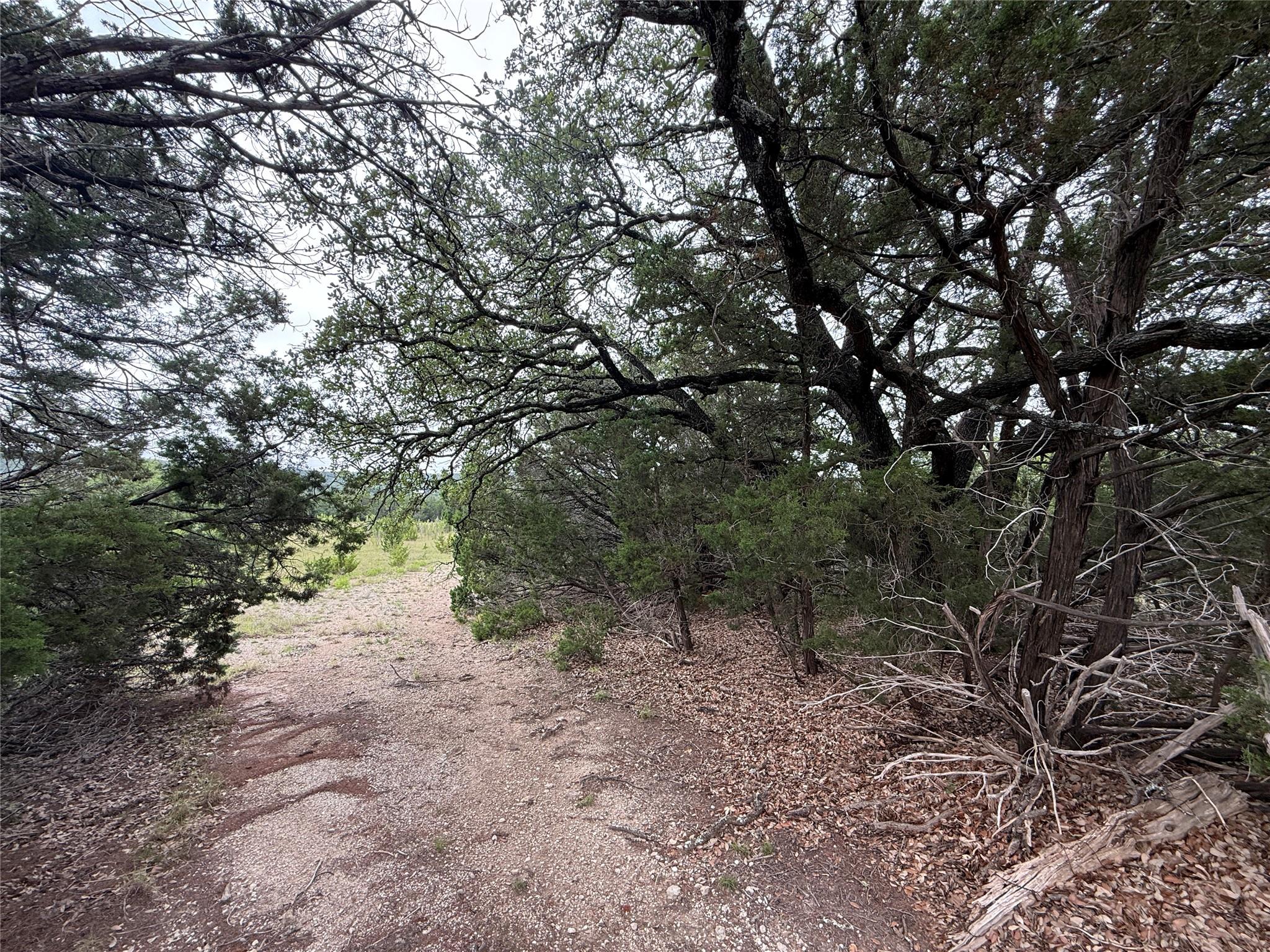 13272 - B Fm 2484, Salado, TX 76571
