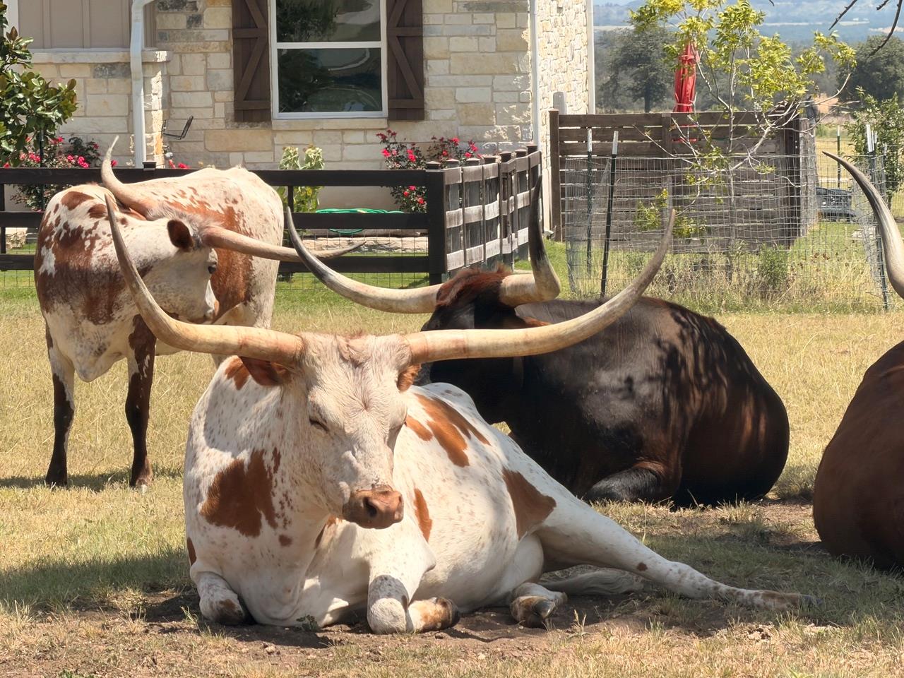 Lot 52 Axis CIR, Fredericksburg, TX 78624