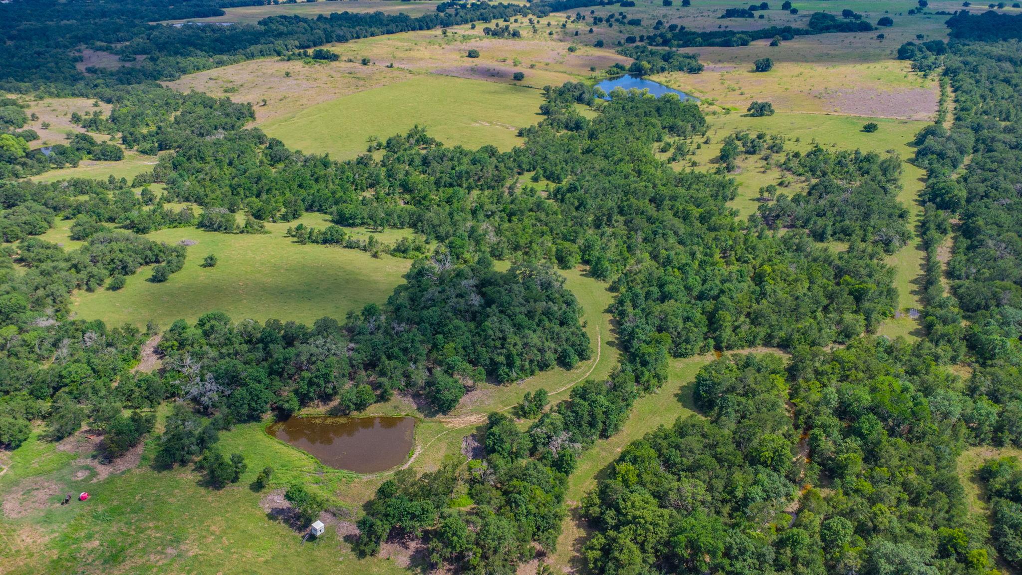 622 Private Road 4053, Buckholts, TX 76518