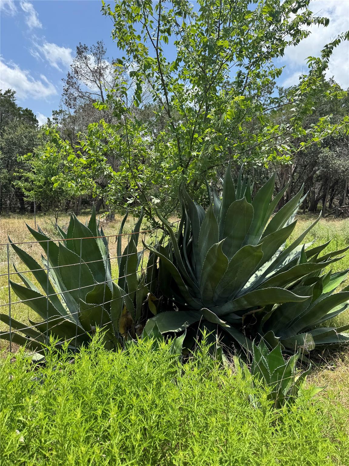 1101 Days End RD, Wimberley, TX 78676