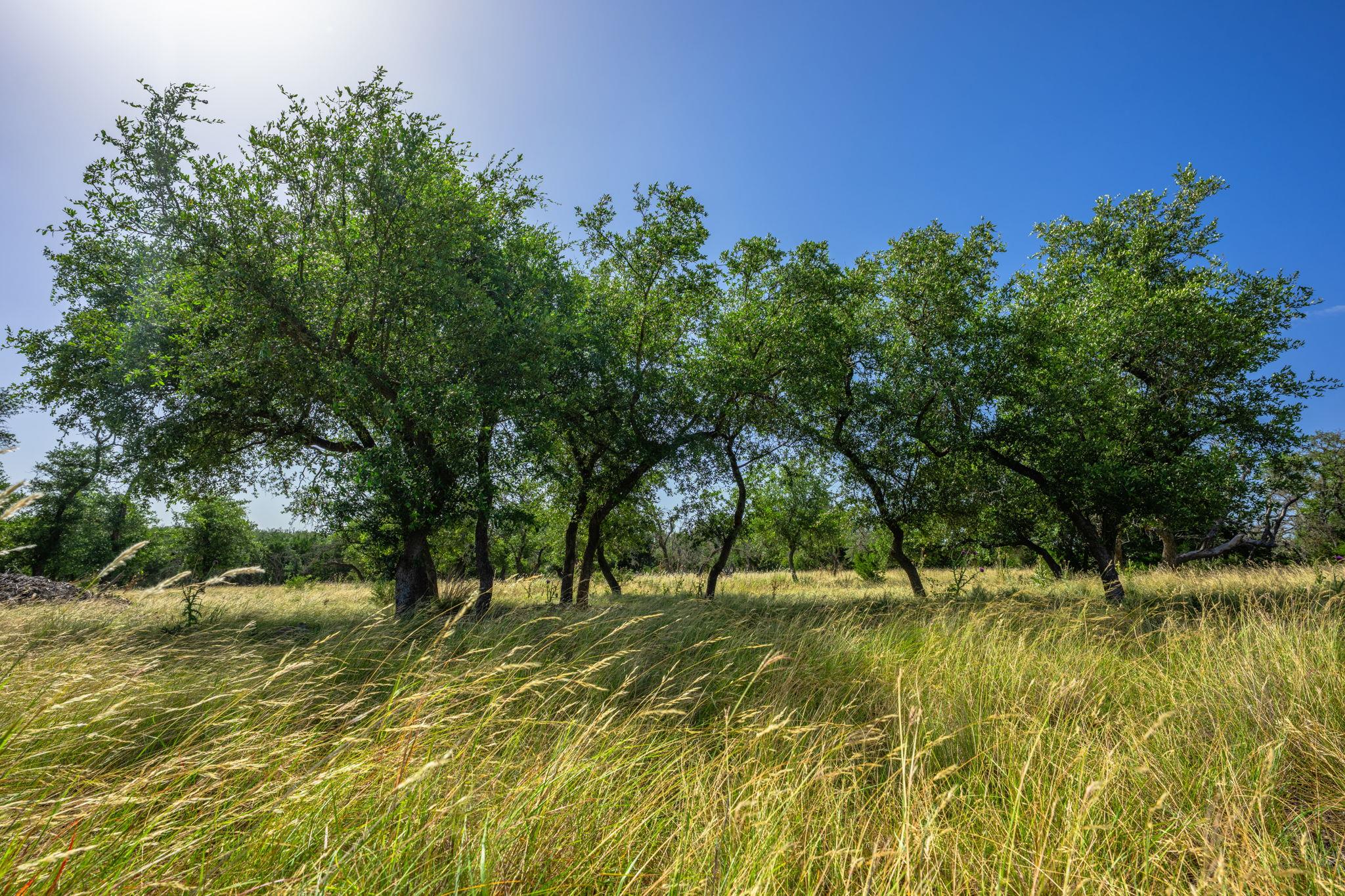 00 Hideout Ranch Lot 7, Mountain Home, TX 78058