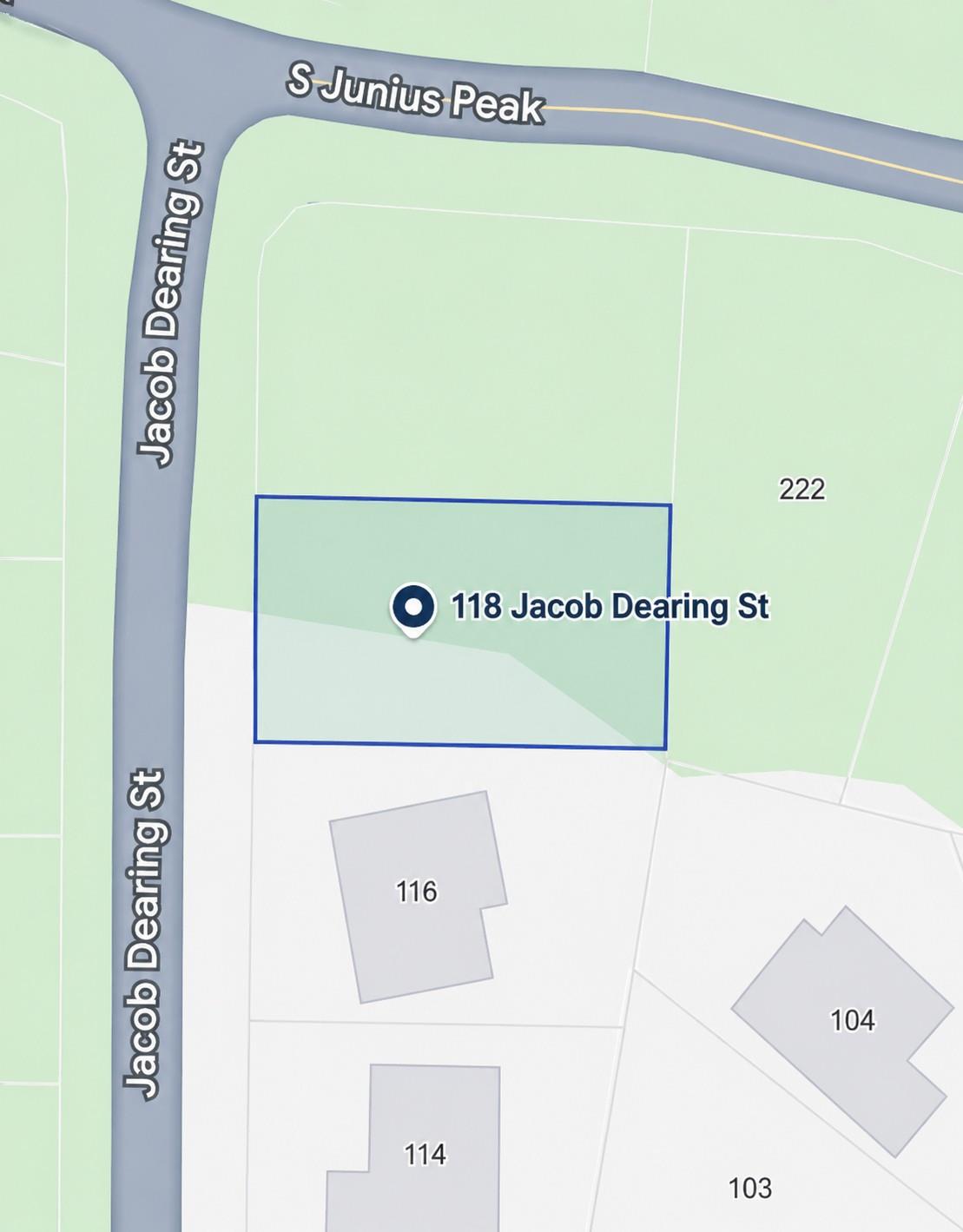 118 Jacob Dearing ST, Blanco, TX 78606