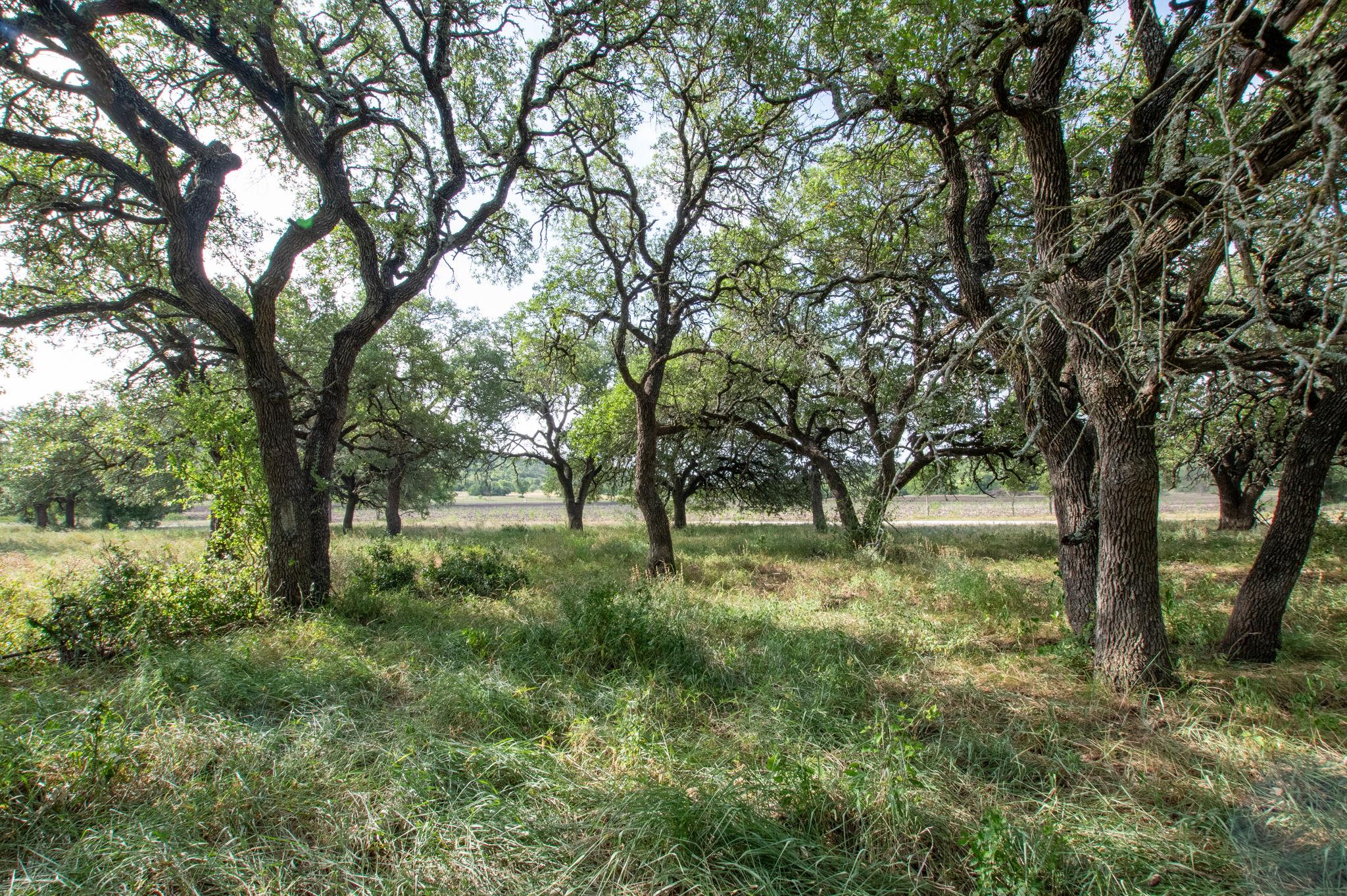 103 Fm 1047, Evant, TX 76880
